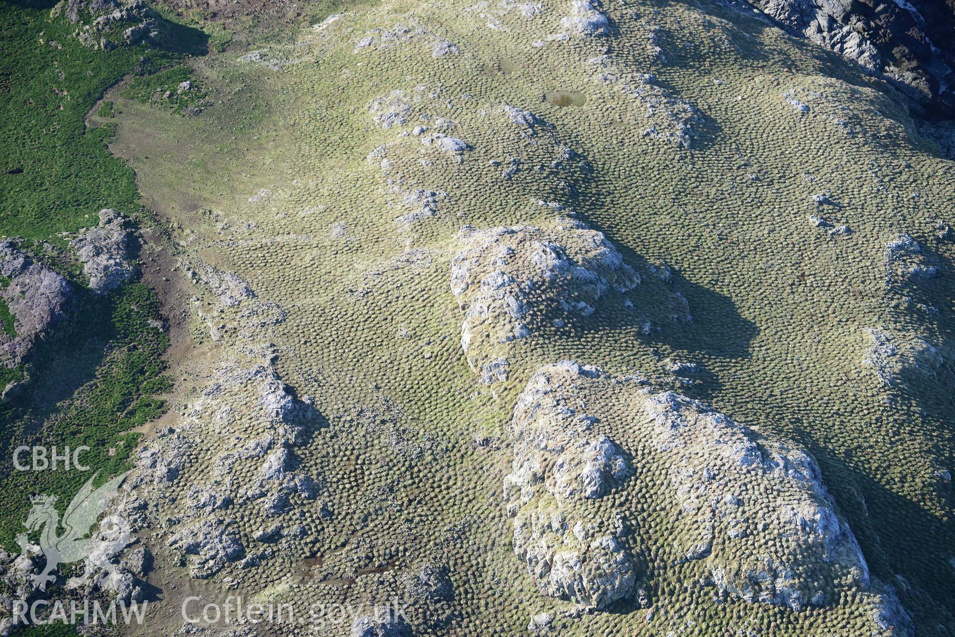 Aerial photo of  Grassholm Island.  Aerial reconnaissance survey for the CHERISH Project. Crown Copyright: CHERISH PROJECT 2018. Produced with EU funds through the Ireland Wales Co-operation Programme 2014-2020. All material made freely available through the Open Government Licence.