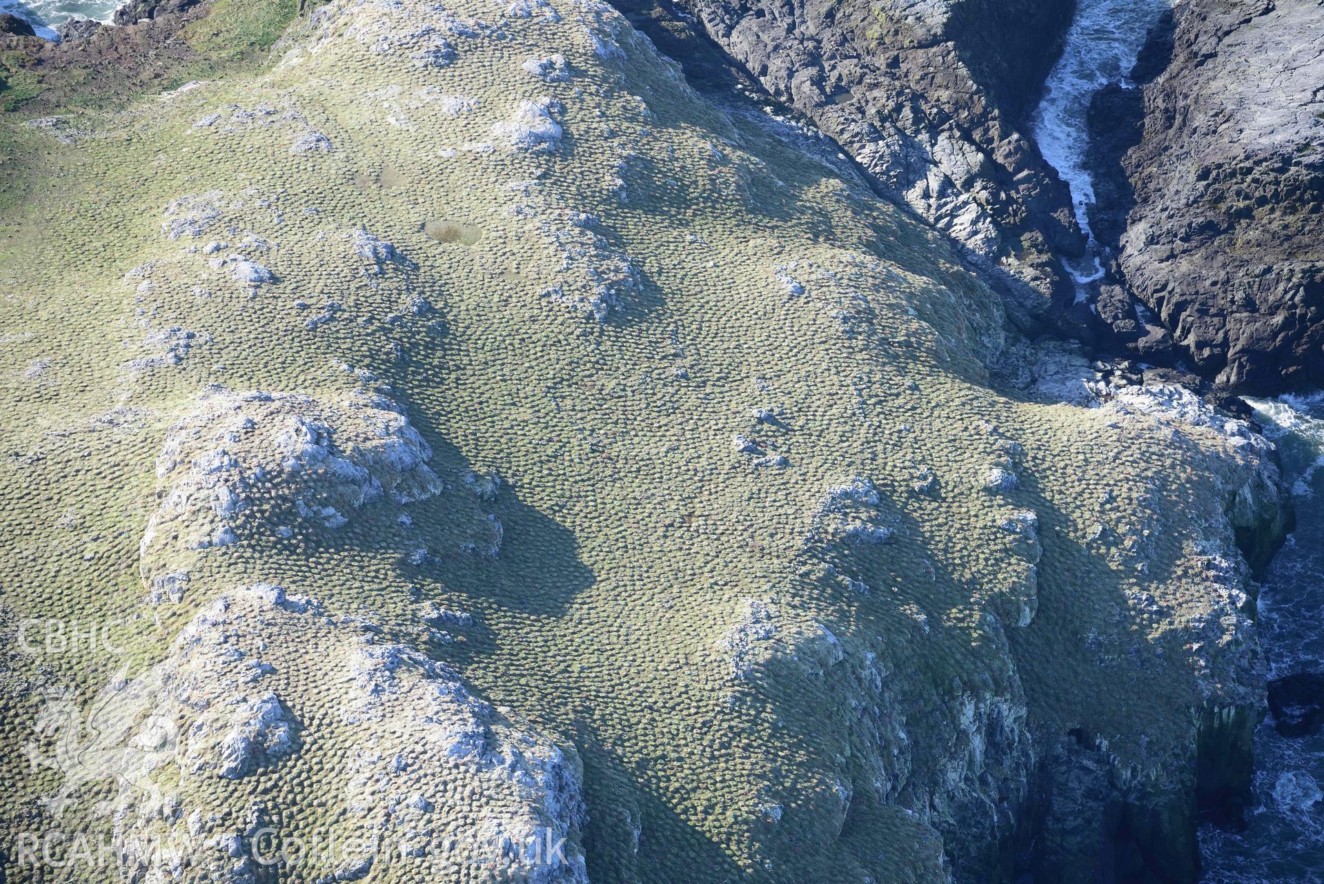 Aerial photo of  Grassholm cairn.  Aerial reconnaissance survey for the CHERISH Project. Crown Copyright: CHERISH PROJECT 2018. Produced with EU funds through the Ireland Wales Co-operation Programme 2014-2020. All material made freely available through the Open Government Licence.