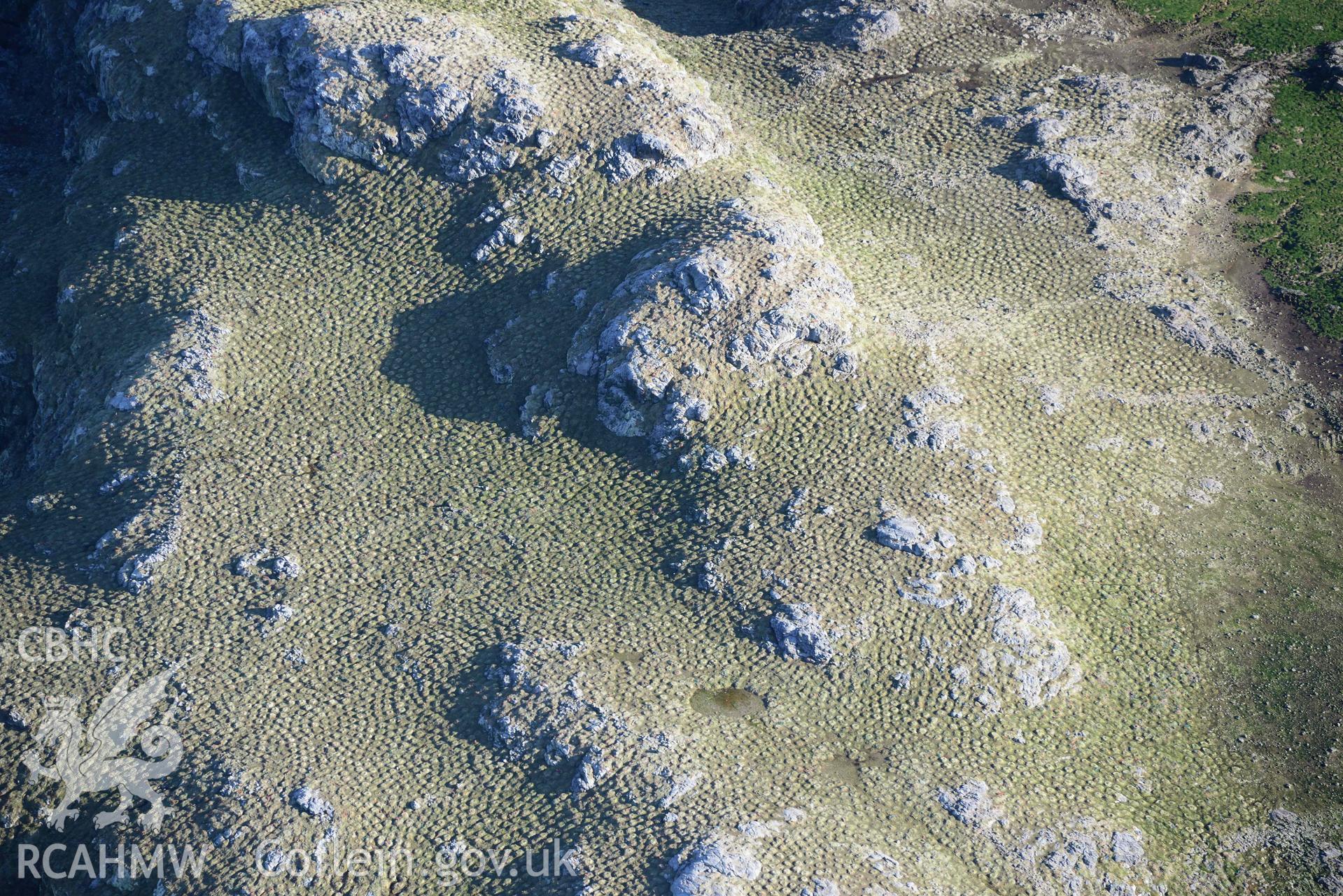 Aerial photo of  Grassholm Island.  Aerial reconnaissance survey for the CHERISH Project. Crown Copyright: CHERISH PROJECT 2018. Produced with EU funds through the Ireland Wales Co-operation Programme 2014-2020. All material made freely available through the Open Government Licence.