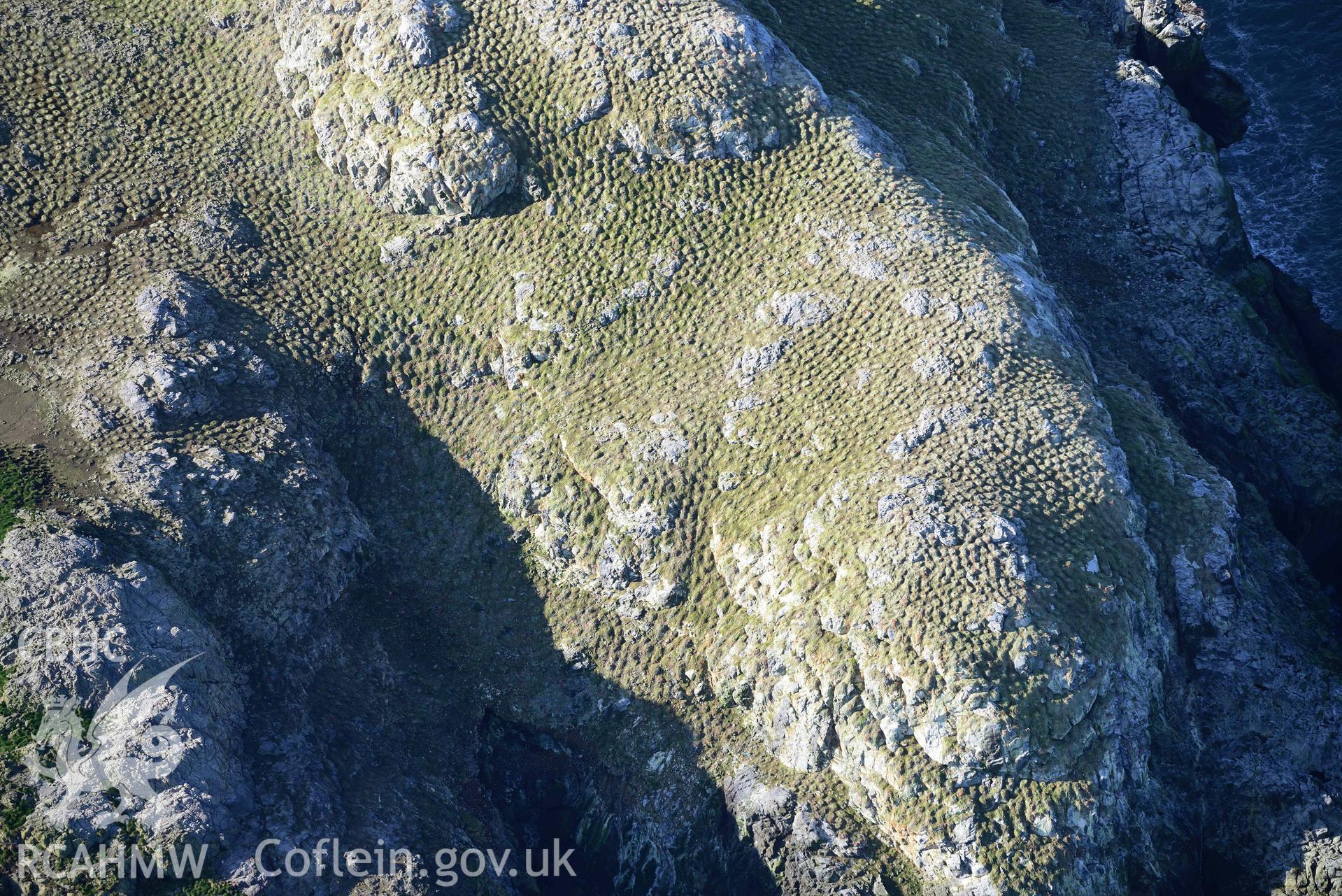 Aerial photo of D Shaped Enclosure, Grassholm Island.  Aerial reconnaissance survey for the CHERISH Project. Crown Copyright: CHERISH PROJECT 2018. Produced with EU funds through the Ireland Wales Co-operation Programme 2014-2020. All material made freely available through the Open Government Licence.