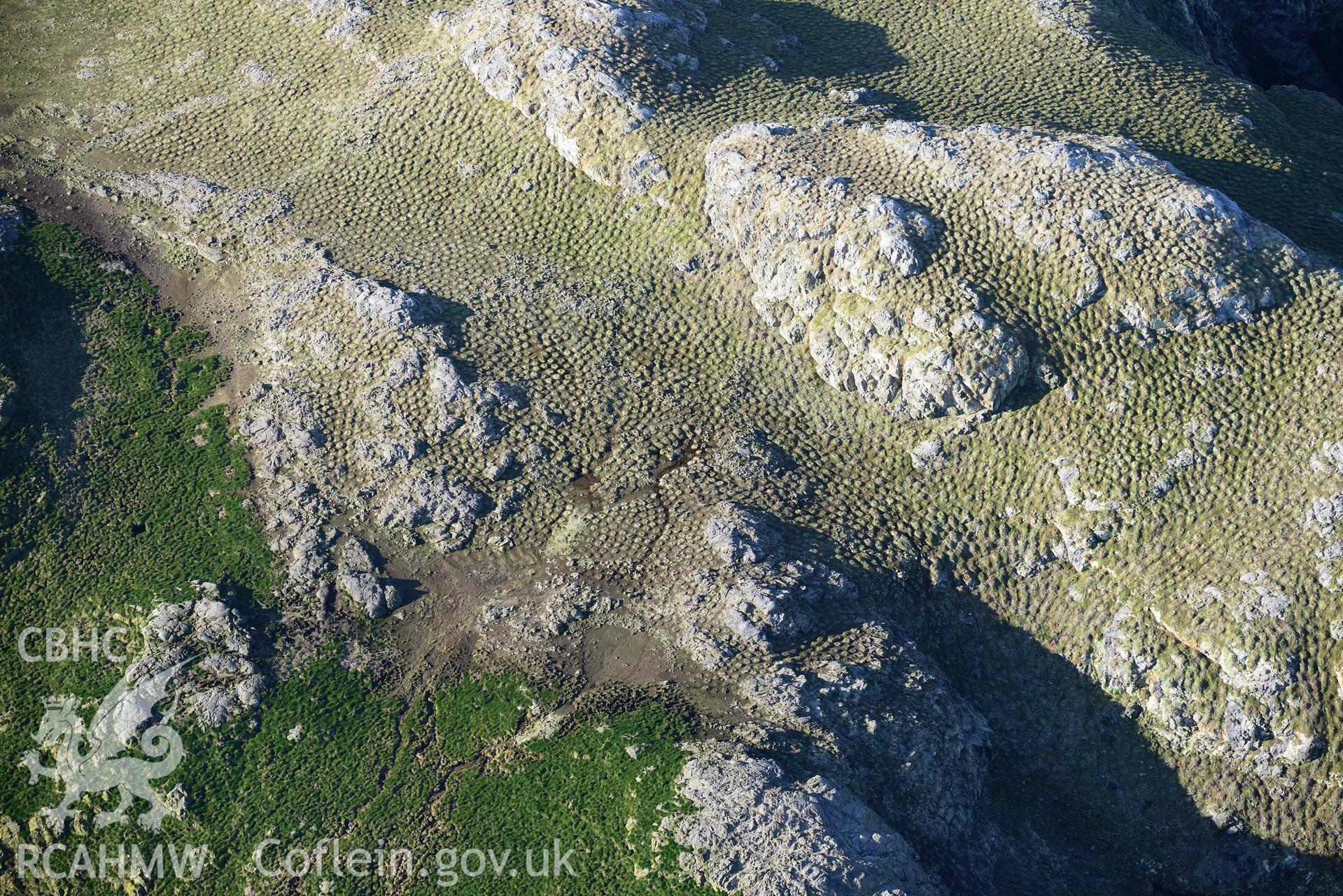 Aerial photo of  Grassholm Island.  Aerial reconnaissance survey for the CHERISH Project. Crown Copyright: CHERISH PROJECT 2018. Produced with EU funds through the Ireland Wales Co-operation Programme 2014-2020. All material made freely available through the Open Government Licence.
