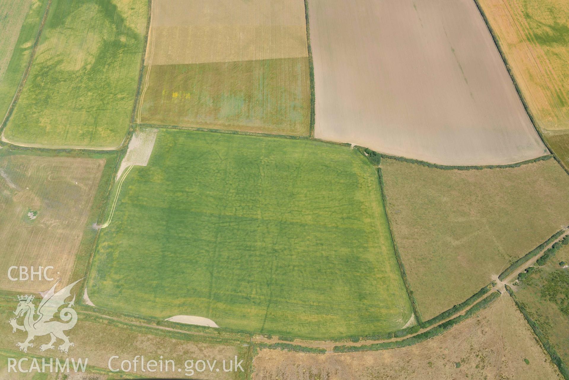 Aerial photography of Non, arch cropmarks between West Hook and Martins Haven Aerial reconnaissance survey for the CHERISH Project. Crown Copyright: CHERISH PROJECT 2018. Produced with EU funds through the Ireland Wales Co-operation Programme 2014-2020. All material made freely available through the Open Government Licence.