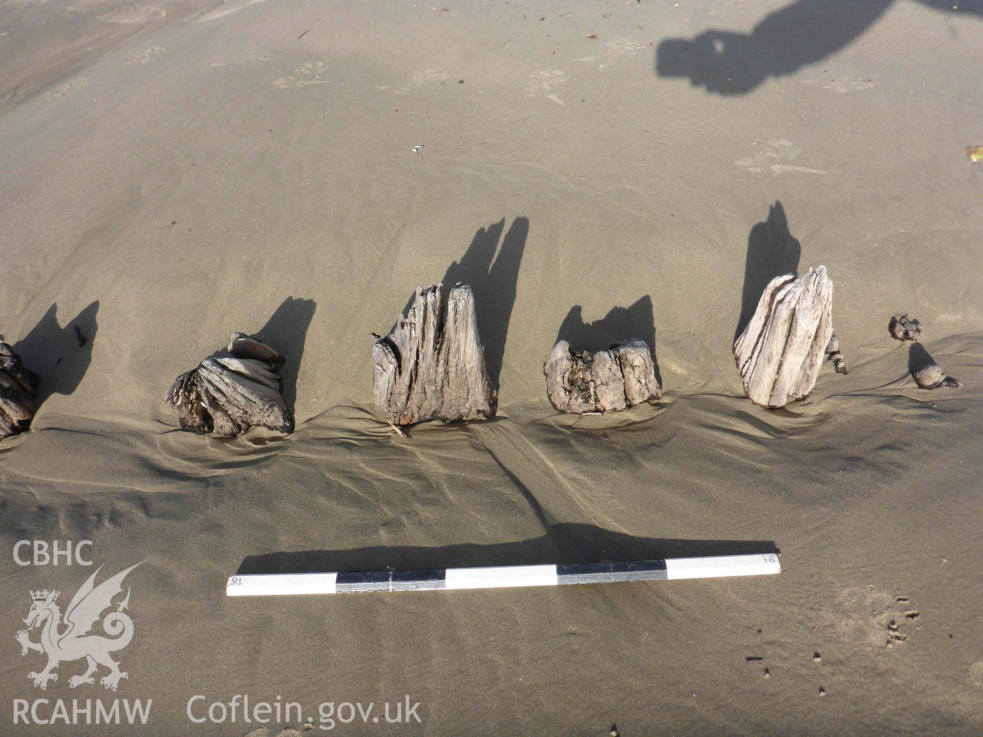 Exposed frame ends from the FRANCIS BEDDOE on 31/01/2025. Scale is 0.5m, 10cm increments.