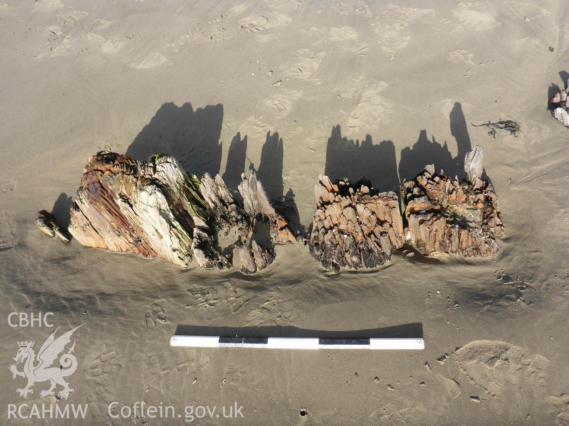 Exposed stern-post (right pair of timbers) and rudder (left pair of timbers) from the FRANCIS BEDDOE on 31/01/2025. Scale is 0.5m, 10cm increments.