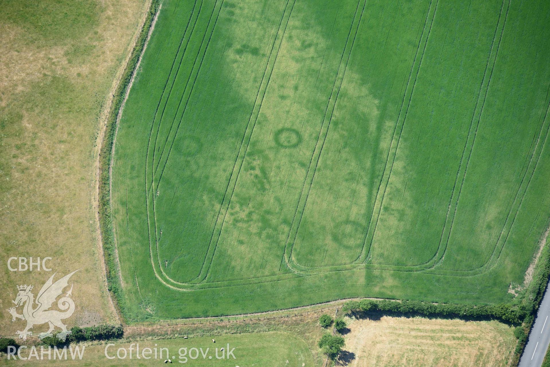 Aerial photograph: Bod-Nithoedd cropmark barrows. Crown: CHERISH PROJECT 2018. Produced with EU funds through the Ireland Wales Co-operation Programme 2014-2020 (NGR SH255312)