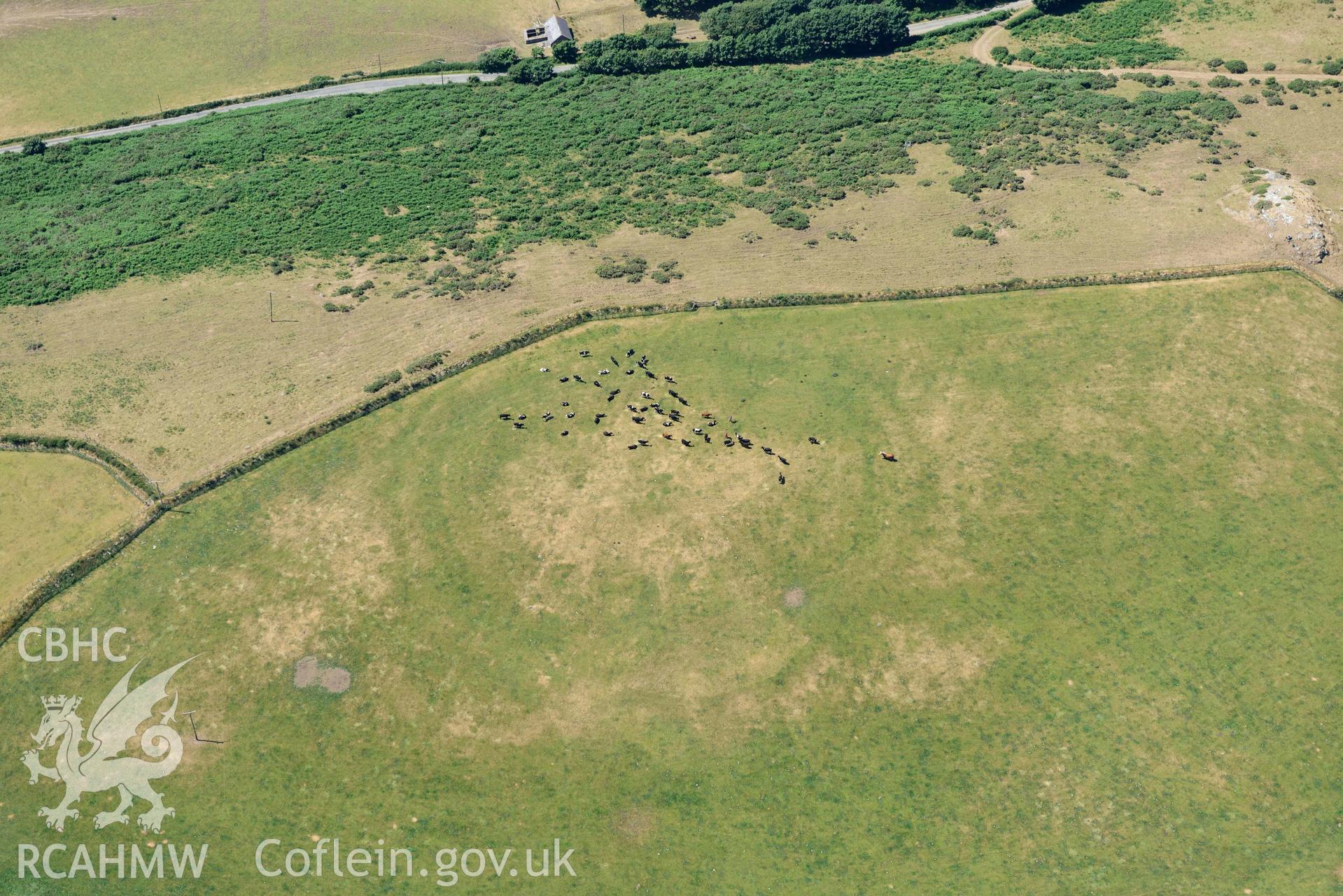 Aerial photograph: Mellionydd Enclosure, visible as a cropmark. Crown: CHERISH PROJECT 2018. Produced with EU funds through the Ireland Wales Co-operation Programme 2014-2020 (NGR SH218290)