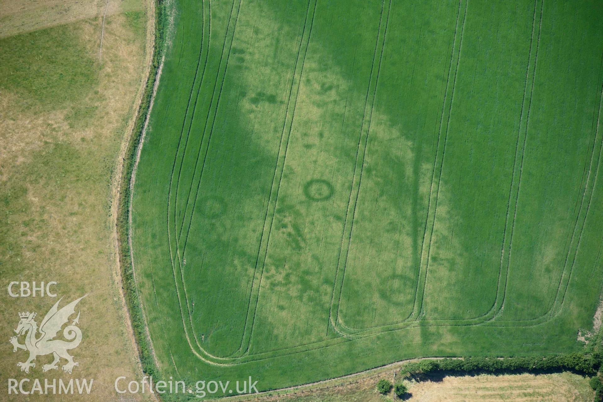 Aerial photograph: Bod-Nithoedd cropmark barrows. Crown: CHERISH PROJECT 2018. Produced with EU funds through the Ireland Wales Co-operation Programme 2014-2020 (NGR SH255312)