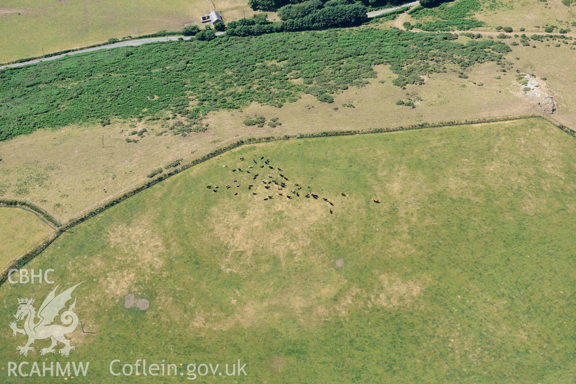 Aerial photograph: Mellionydd Enclosure, visible as a cropmark. Crown: CHERISH PROJECT 2018. Produced with EU funds through the Ireland Wales Co-operation Programme 2014-2020 (NGR SH218290)