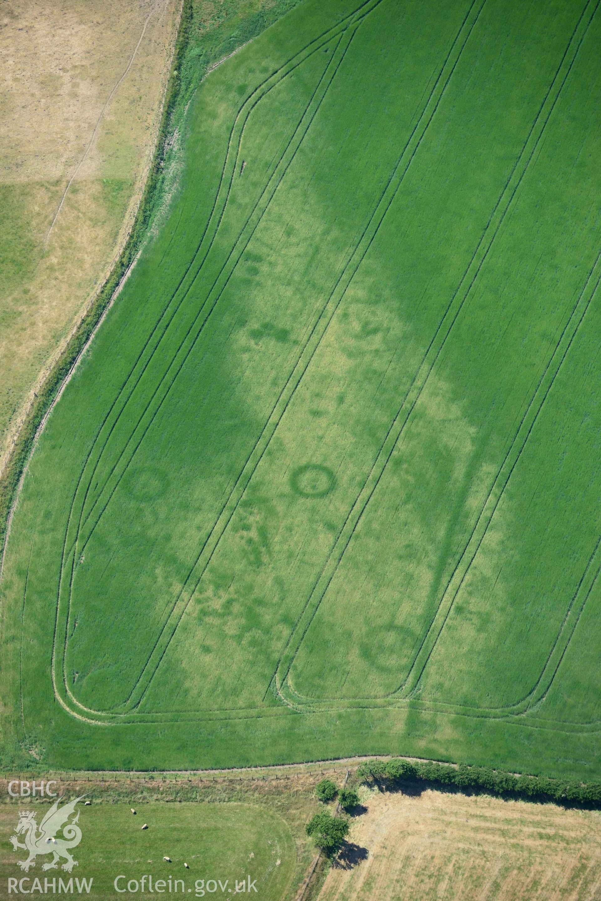 Aerial photograph: Bod-Nithoedd cropmark barrows, with larger ring ditch cropmark at SH 256 311. Crown: CHERISH PROJECT 2018. Produced with EU funds through the Ireland Wales Co-operation Programme 2014-2020 (NGR SH255312)