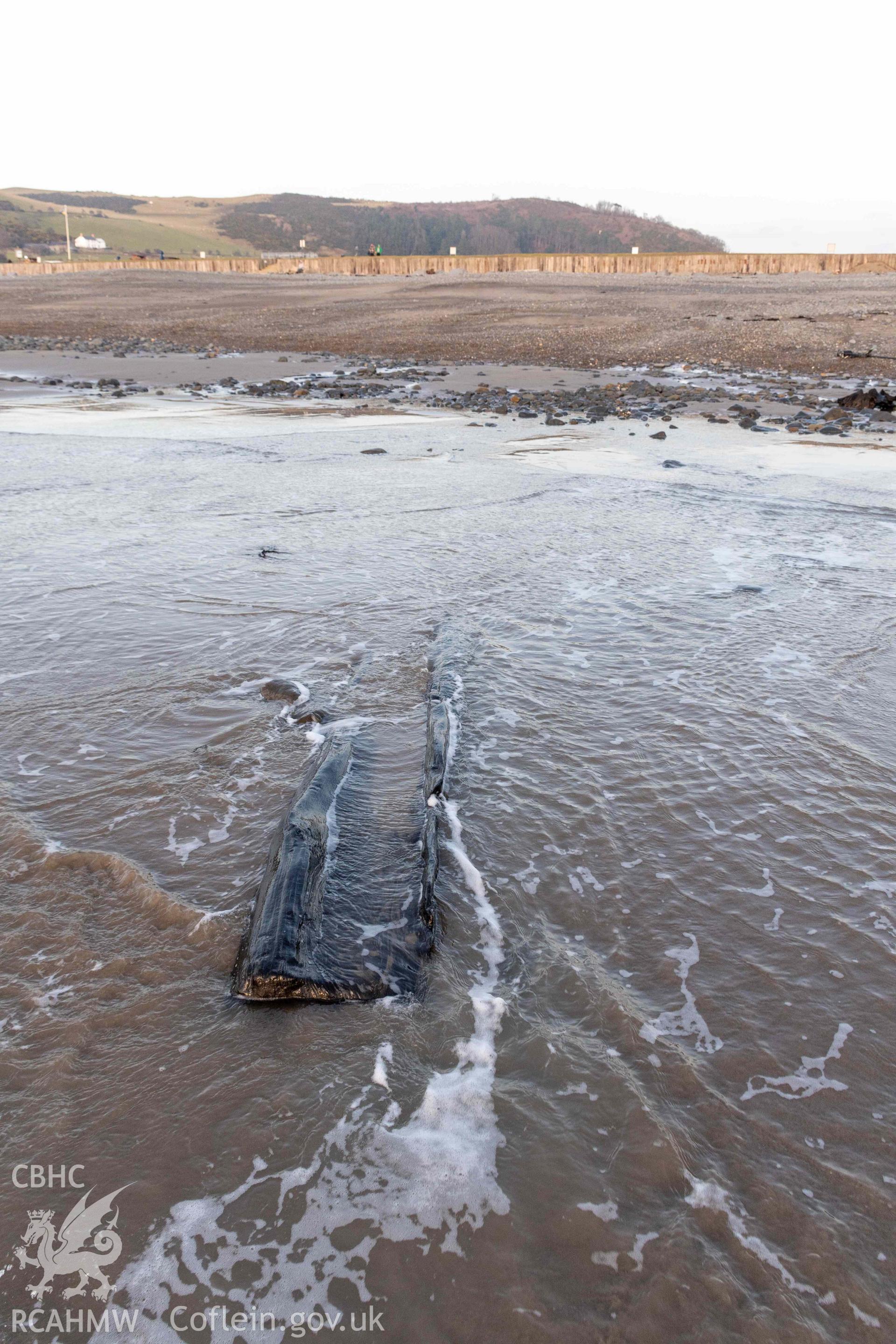 Timber (sawn end) at SN 58636 83777 from the east.