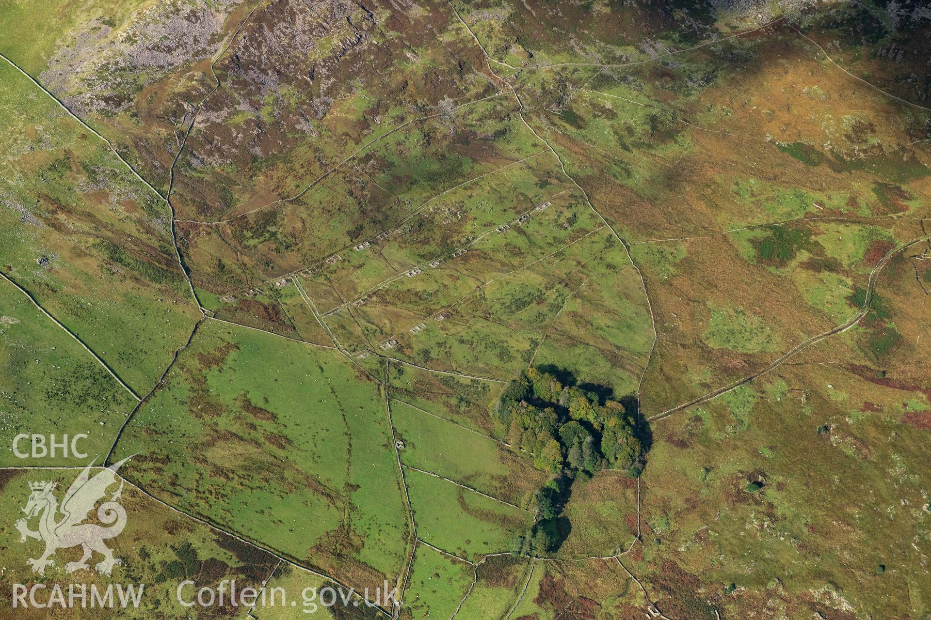 Treforys worker's village, in landscape
