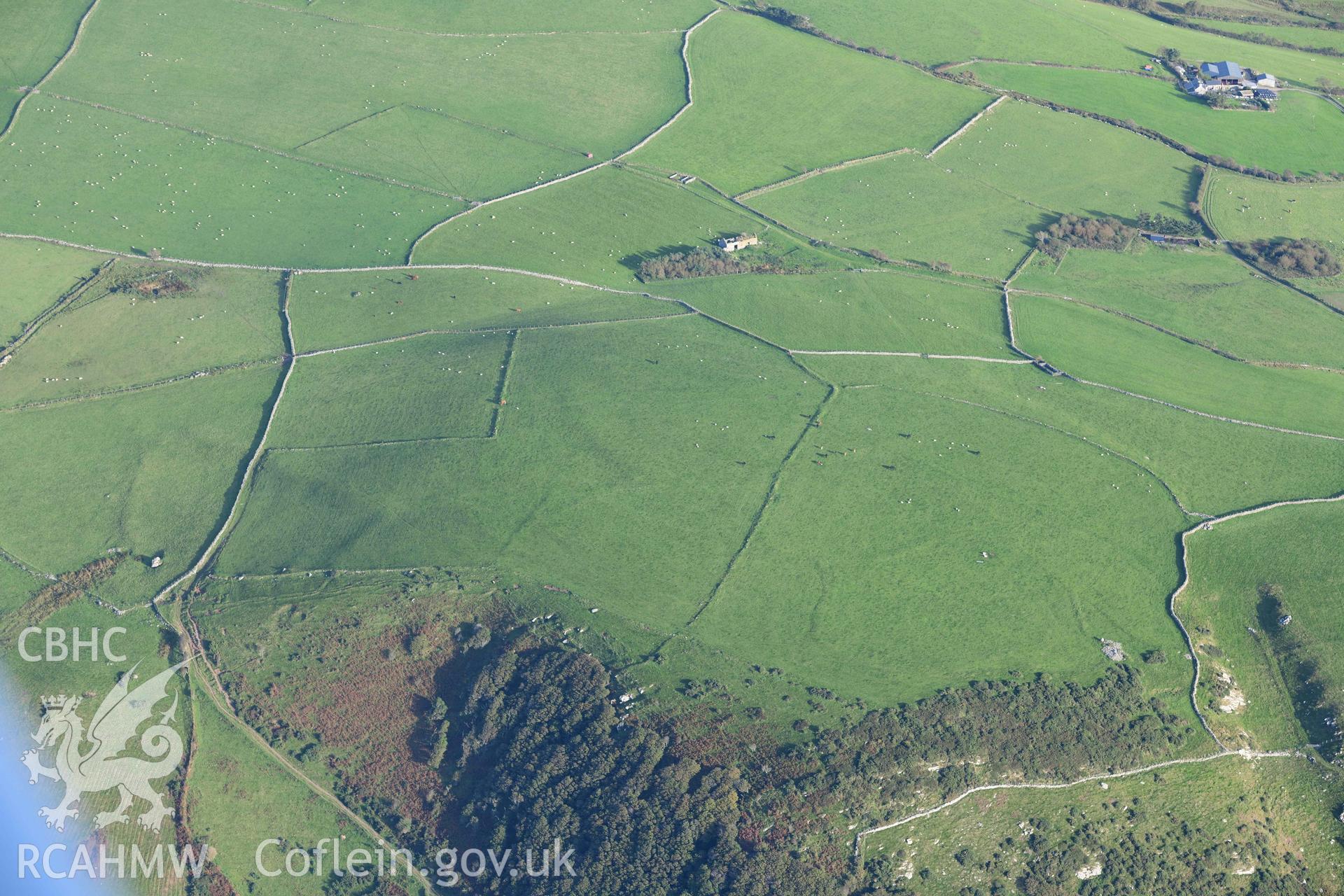 Field system above Llangelynin, view from west