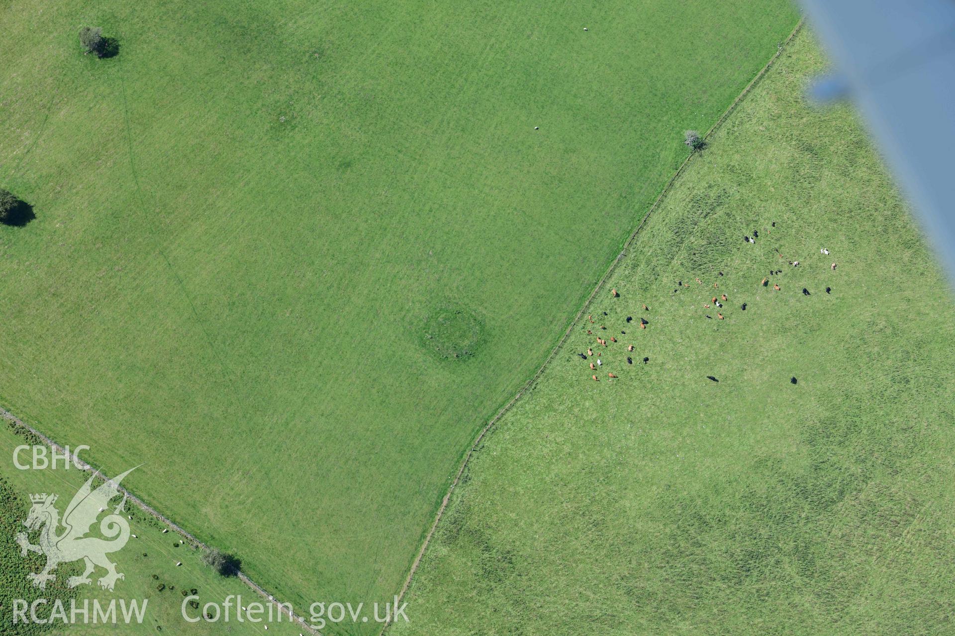 Ring cairn on Waun Gynllwch