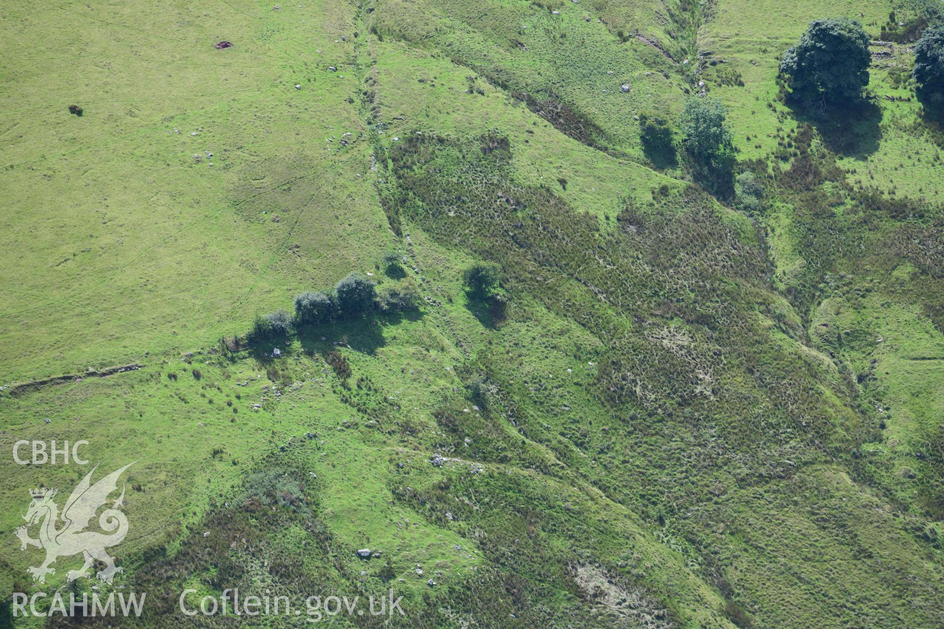 Pant y Blodau deserted settlement