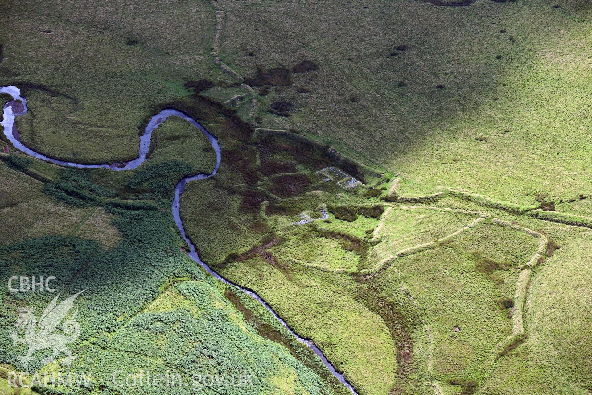Ysgir fawr, deserted farmstead and fields, detail
