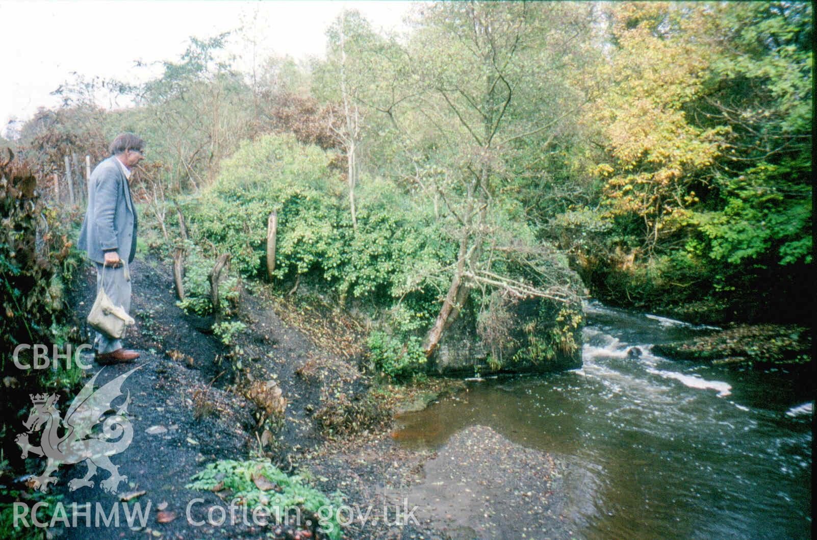 Clydach Upper Forge remains of dam with house historian Jeremy Lowe (Slide ID: SRHNPRN704S4)