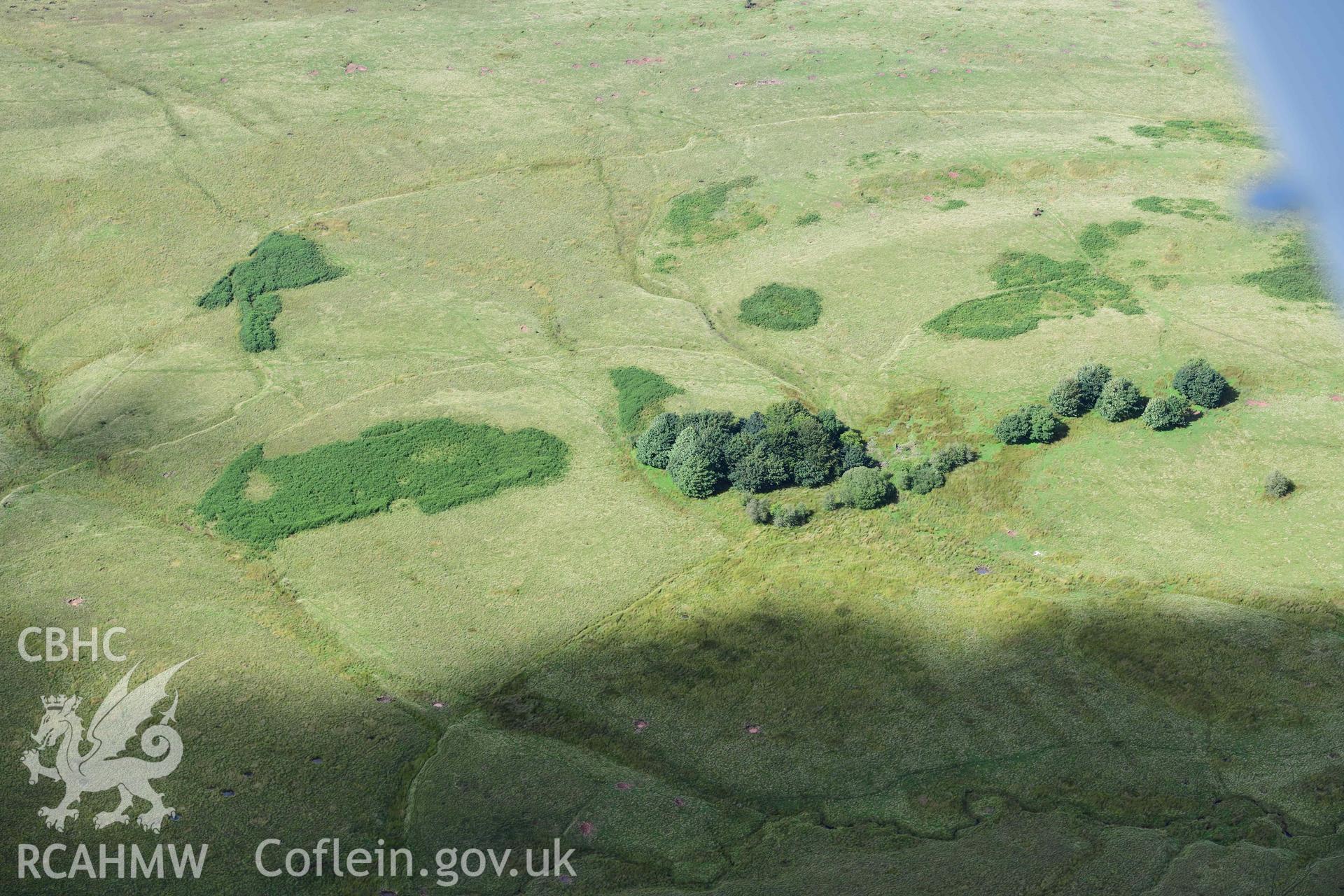 Byllfa Uchaf deserted farmstead, wooded ruins from south