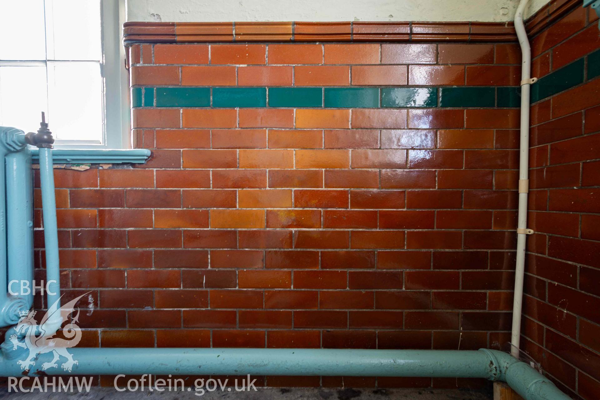 Glazed brick detailing. Corner of cloakroom, first floor, north west corner