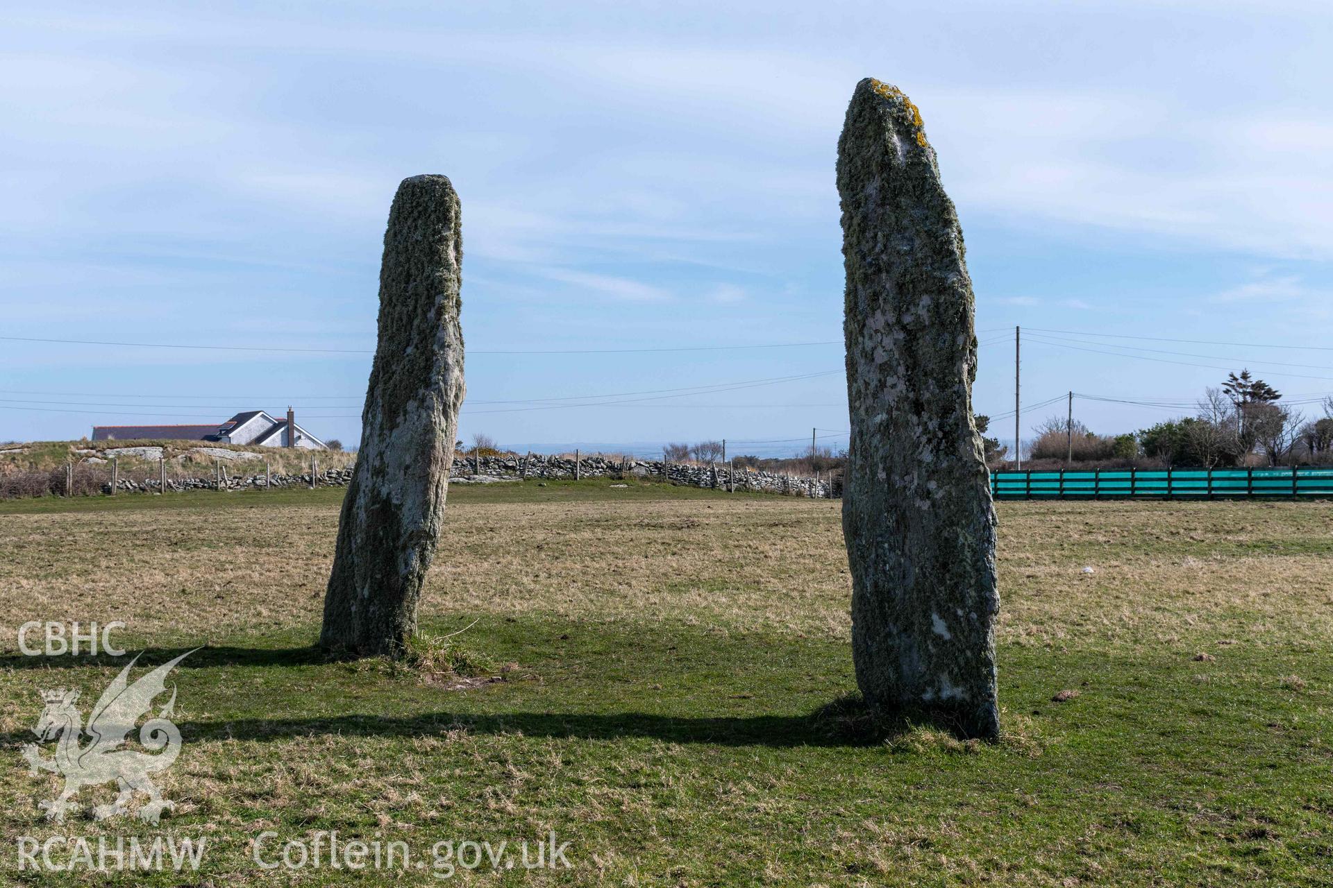 Penrhosfeilw Standing Stone from the west.