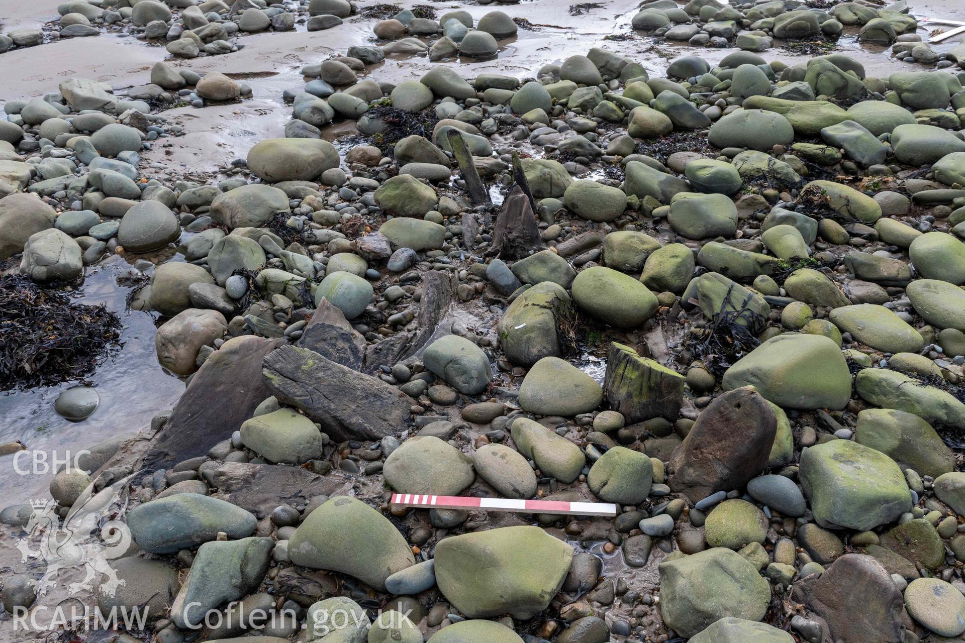 Exposed frame timbers, outer-planking and stern/stem post at the southern end of the shipwreck on Llandanwg Beach on 28/03/2025. Scale is 0.5m.