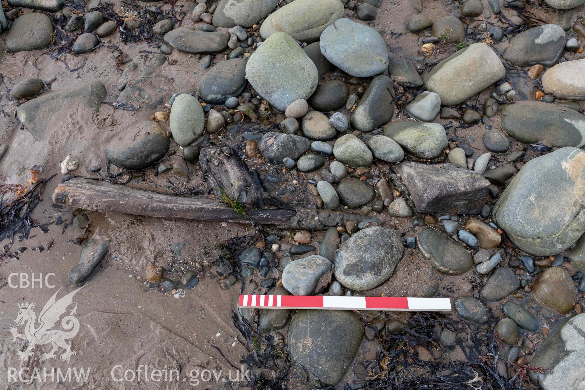 Outer-planking and frame-ends, viewed from outboard, in the southeastern part of the shipwreck on Llandanwg Beach on 28/03/2025. Scale is 0.5m