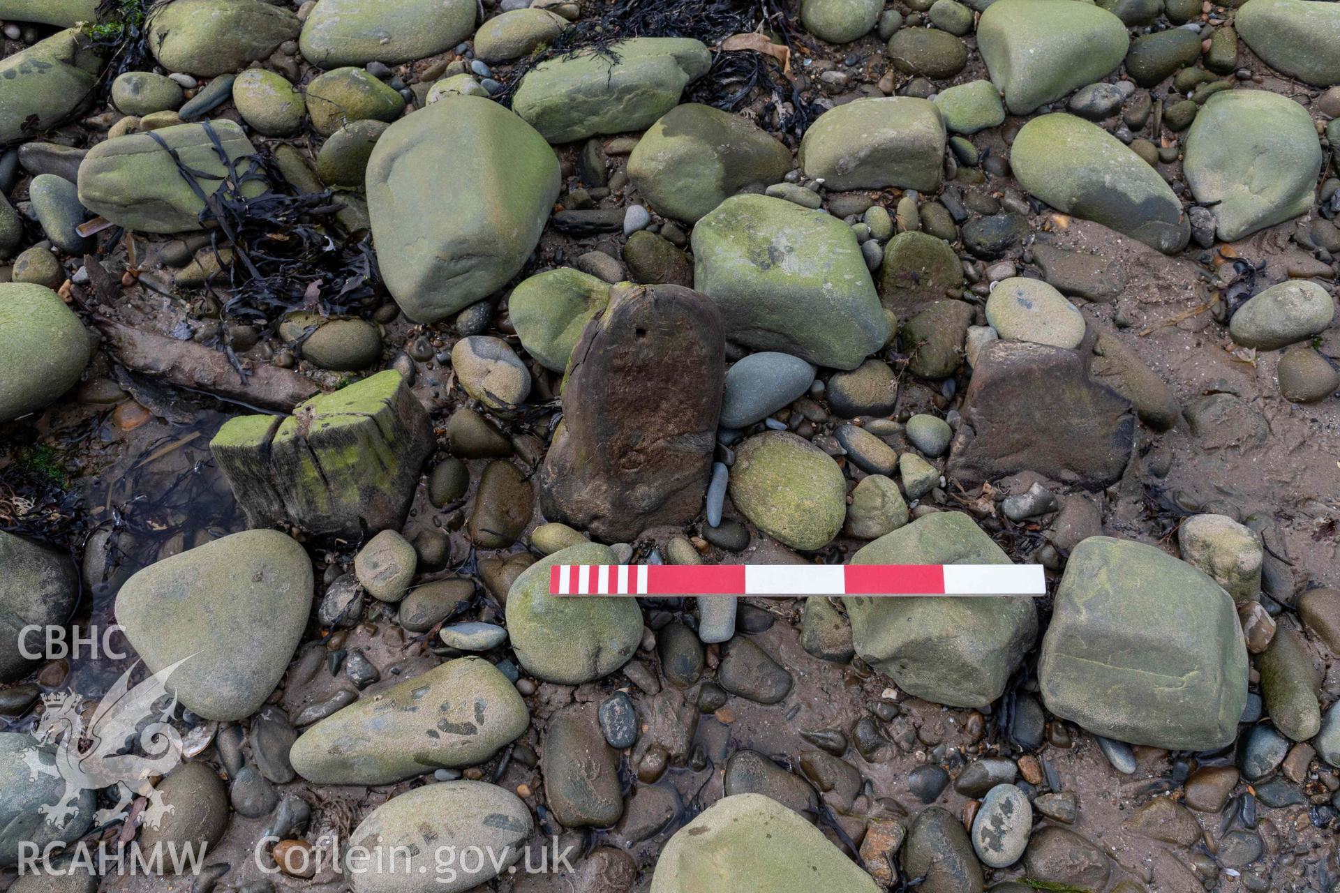 Frame-ends, viewed from inboard, in the southern part of the shipwreck on Llandanwg Beach on 28/03/2025. Scale is 0.5m.