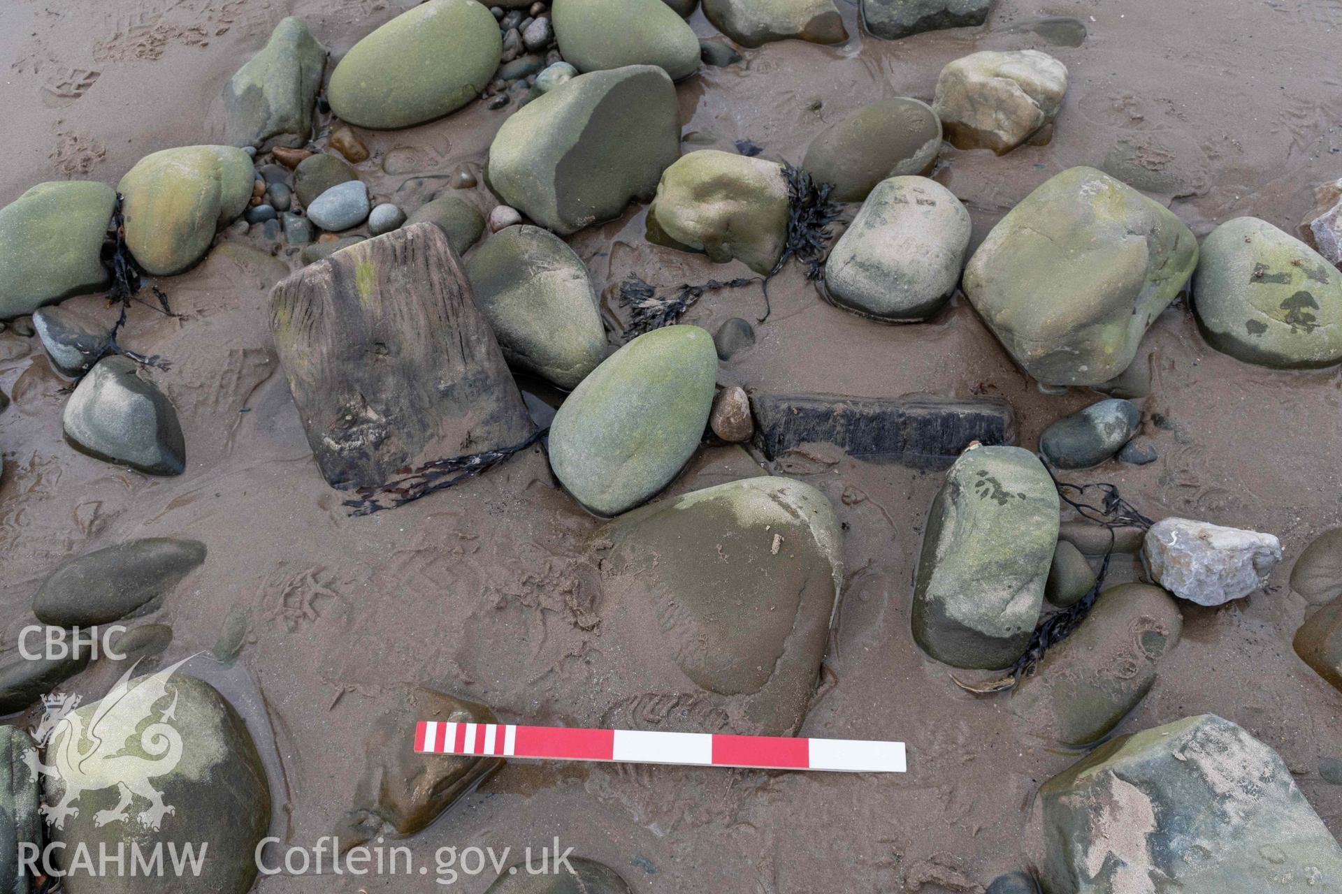 Frame-ends, viewed from inboard, at the northern end of the shipwreck on Llandanwg Beach on 28/03/2025. Scale is 0.5m.