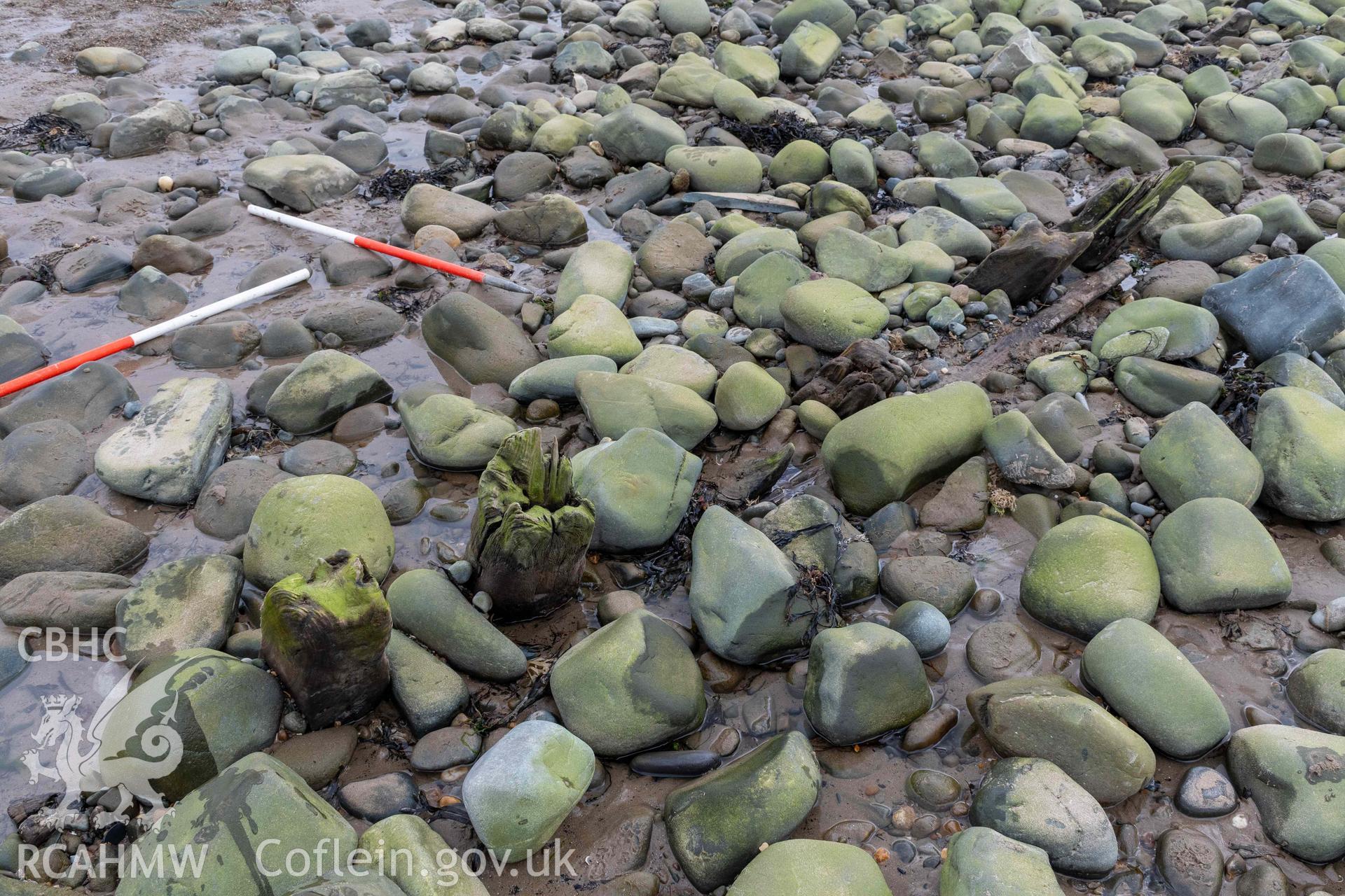 A run of frame-ends, viewed from outboard, on the western side (amidships) of the shipwreck on Llandanwg Beach on 28/03/2025. Scale is 1m.
