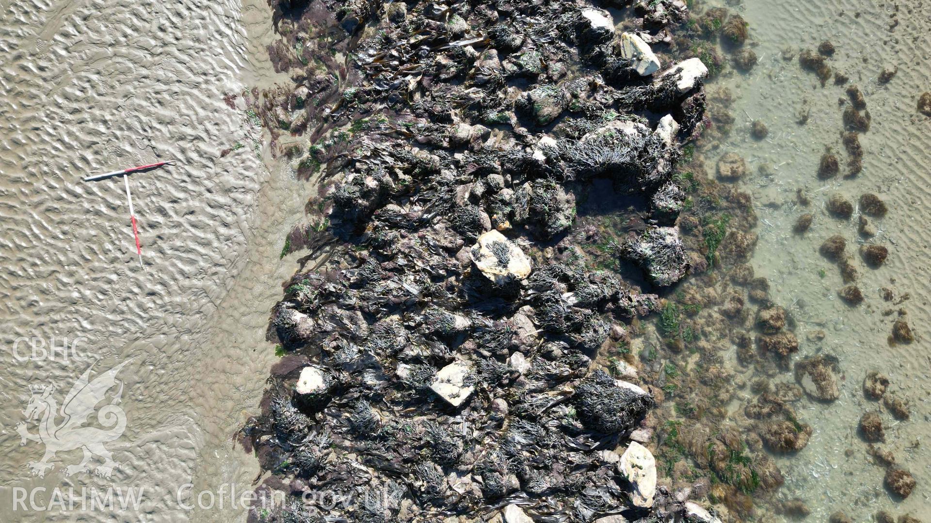 Goodwick Fish Trap 1 at low water on 30/03/2025. Overhead view of a section of the main arm. North is to the bottom, scales are 1m.