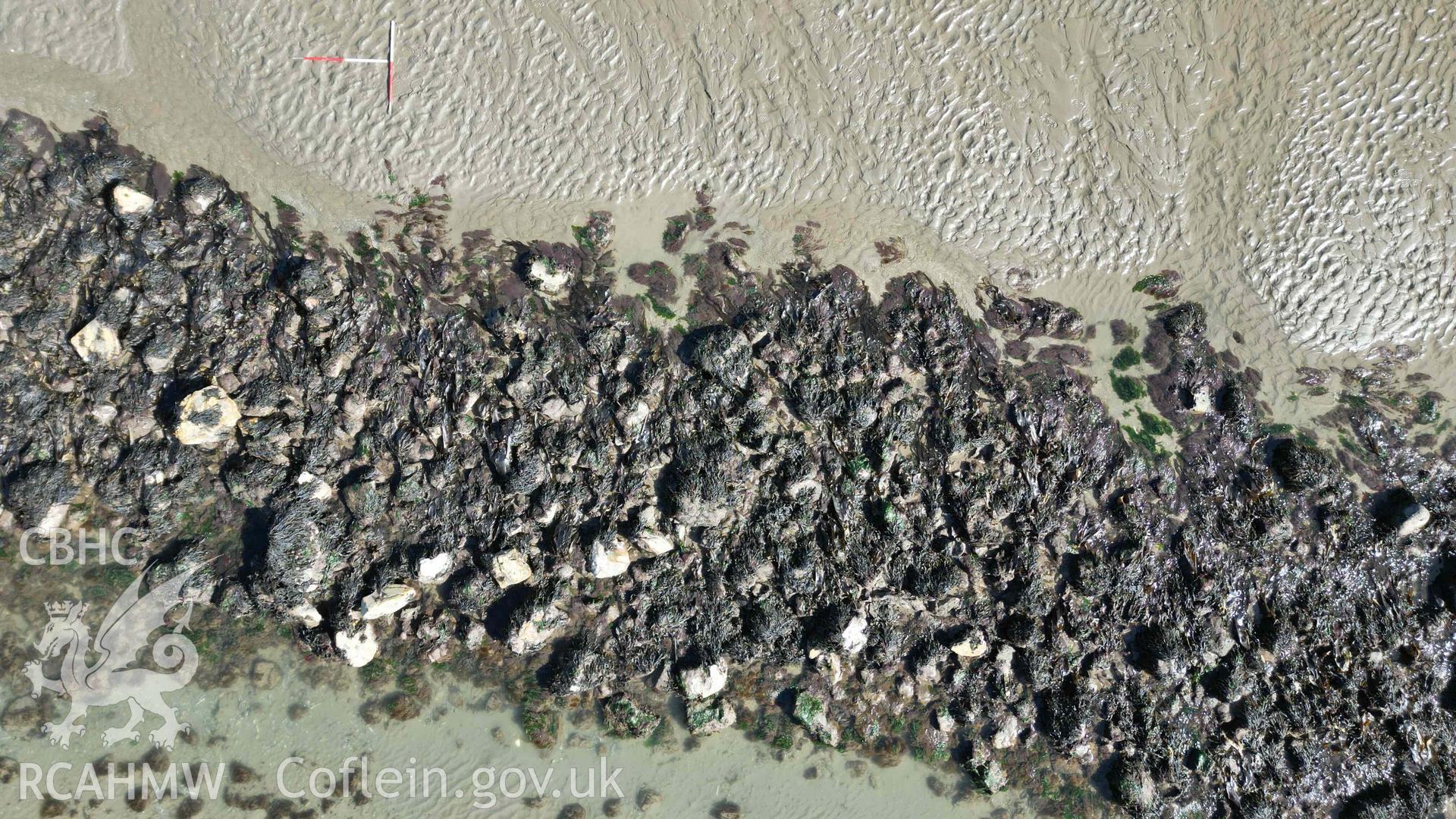 Goodwick Fish Trap 1 at low water on 30/03/2025. Overhead view of a section of the main arm. North is to the left, scales are 1m.