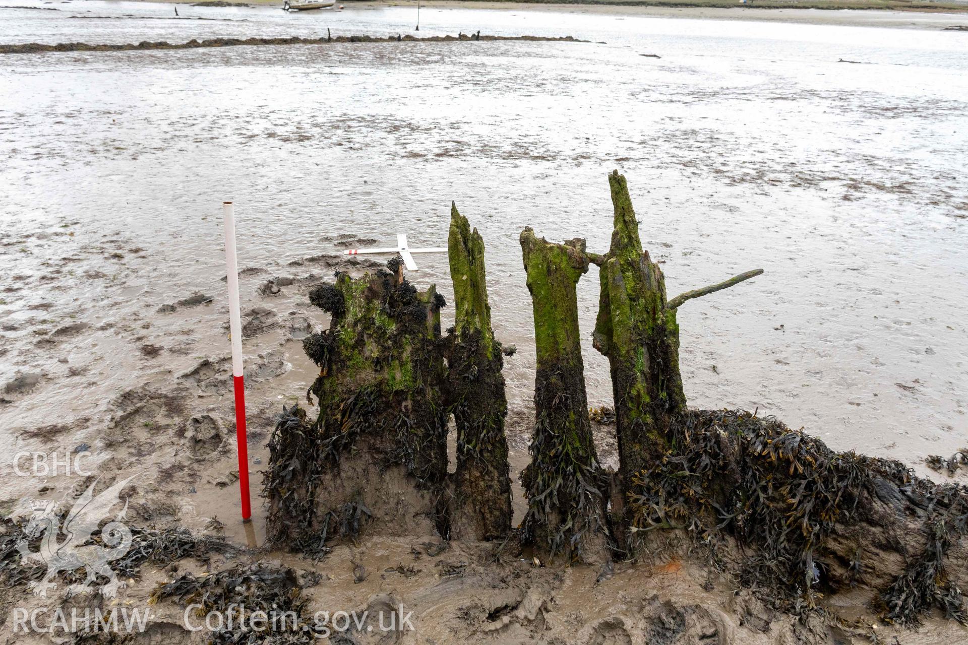 Rudder (left), stern-post and stern-knee, seen from starboard, of the wreck in the estuary at Pensarn on 28/03/2025. Scale is 1m.