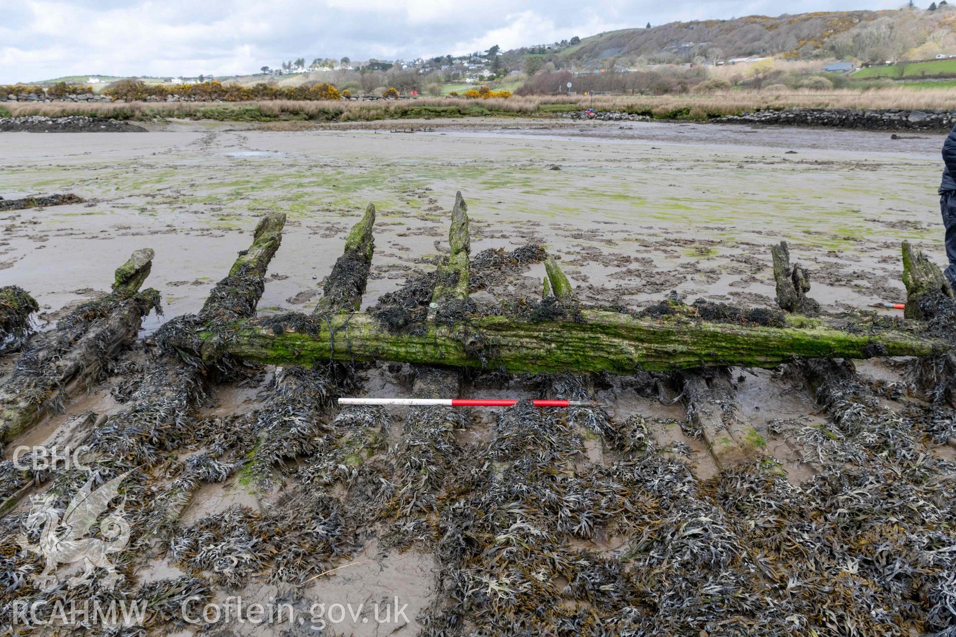Framing and keelson, seen from the portside, of the wreck in the estuary at Pensarn on 28/03/2025. Scale is 1m.