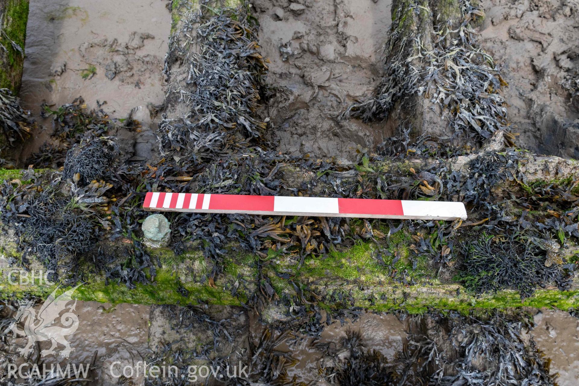 Detail of the keelson and copper keel bolt head, on the wreck in the estuary at Pensarn on 28/03/2025. Scale is 0.5m.