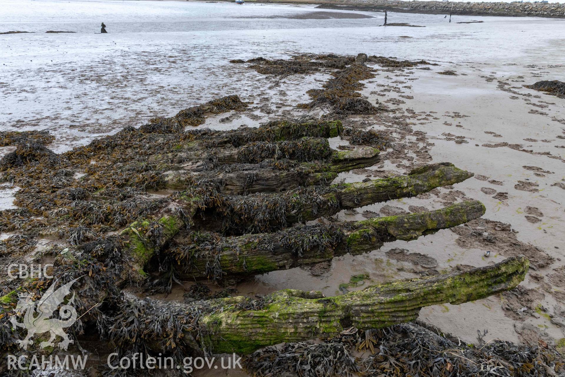 Framing and keelson, looking forward, of the wreck in the estuary at Pensarn on 28/03/2025.