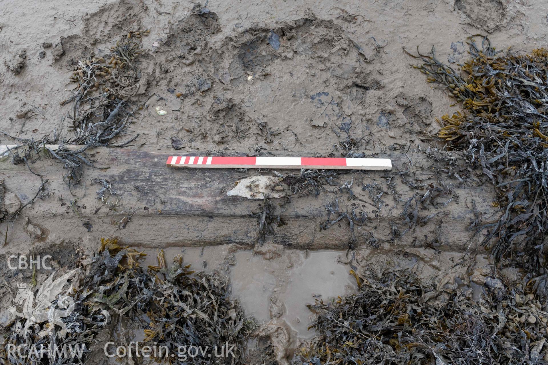 Detail of the keel, on the wreck in the estuary at Pensarn on 28/03/2025. Scale is 0.5m.