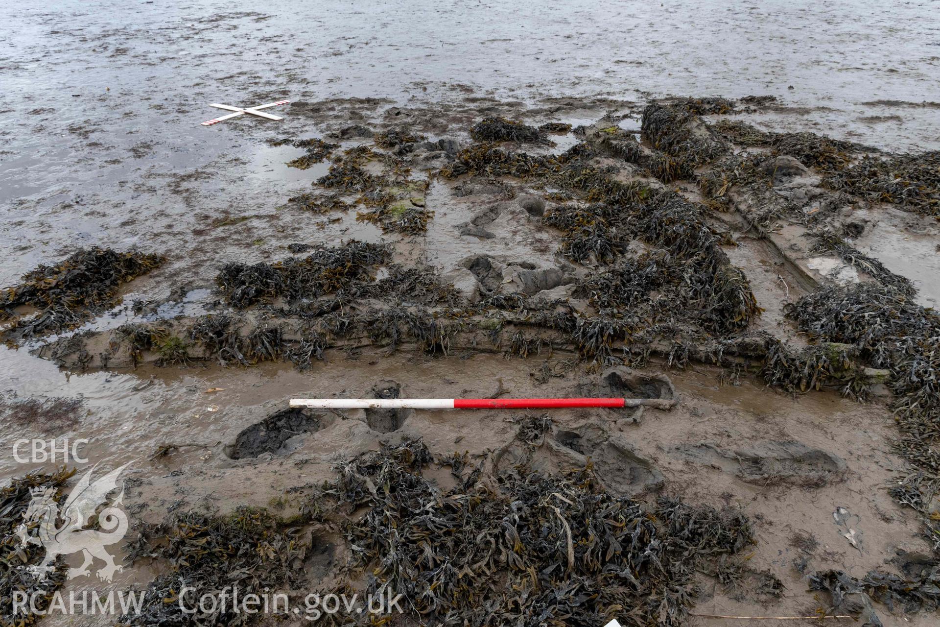 Extant timbers at the bow of the wreck in the estuary at Pensarn on 28/03/2025. Scale is 1m.