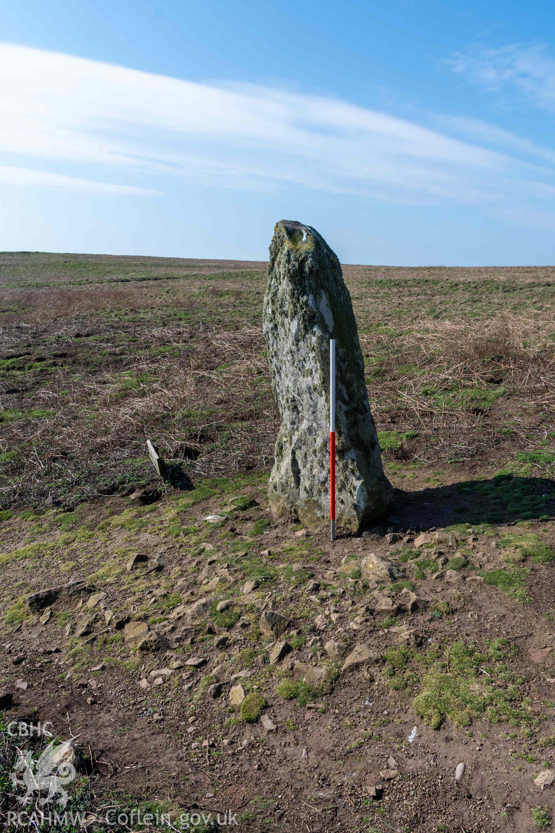 Harold Stone Standing Stone. View from the northeast showing exposed stone platform on the east side of the stone (with scale).