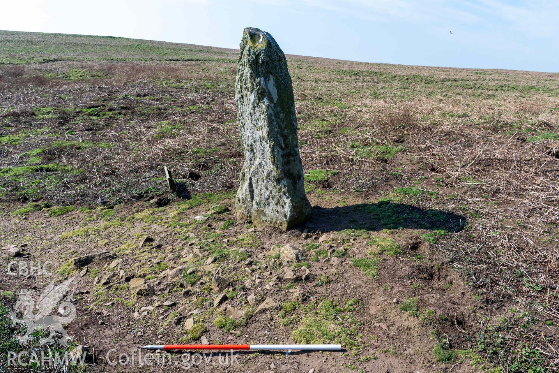 Harold Stone Standing Stone. View from the northeast showing exposed stone platform on the east side of the stone (with scale).