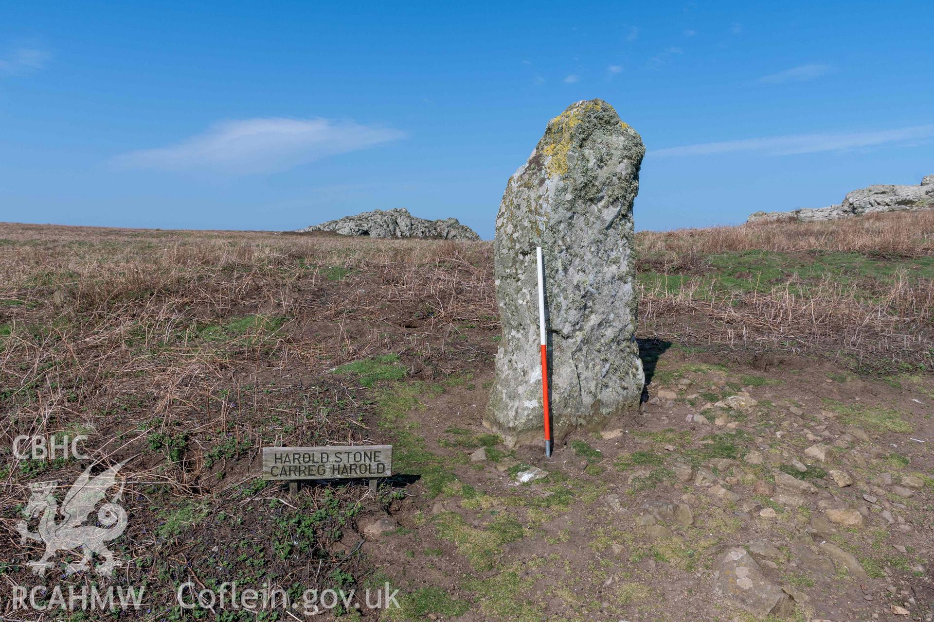 Harold Stone Standing Stone. View from the south showing exposed stone platform on the east side of the stone (with scale).