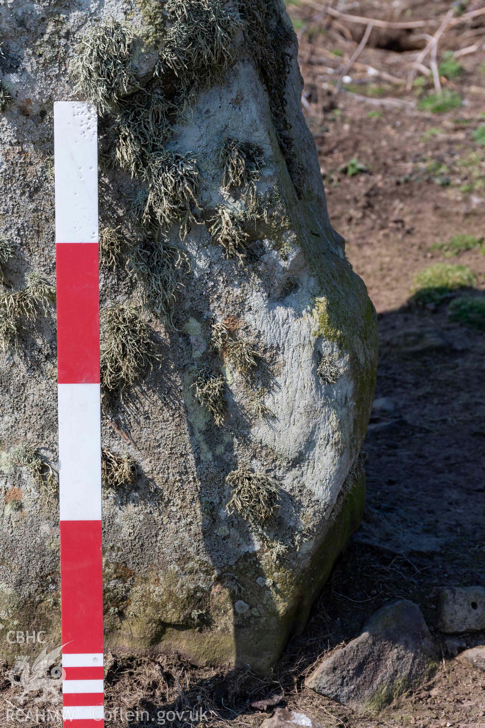 Harold Stone Standing Stone. Detail of base on east side of stone showing eroded soil cover (with scale).