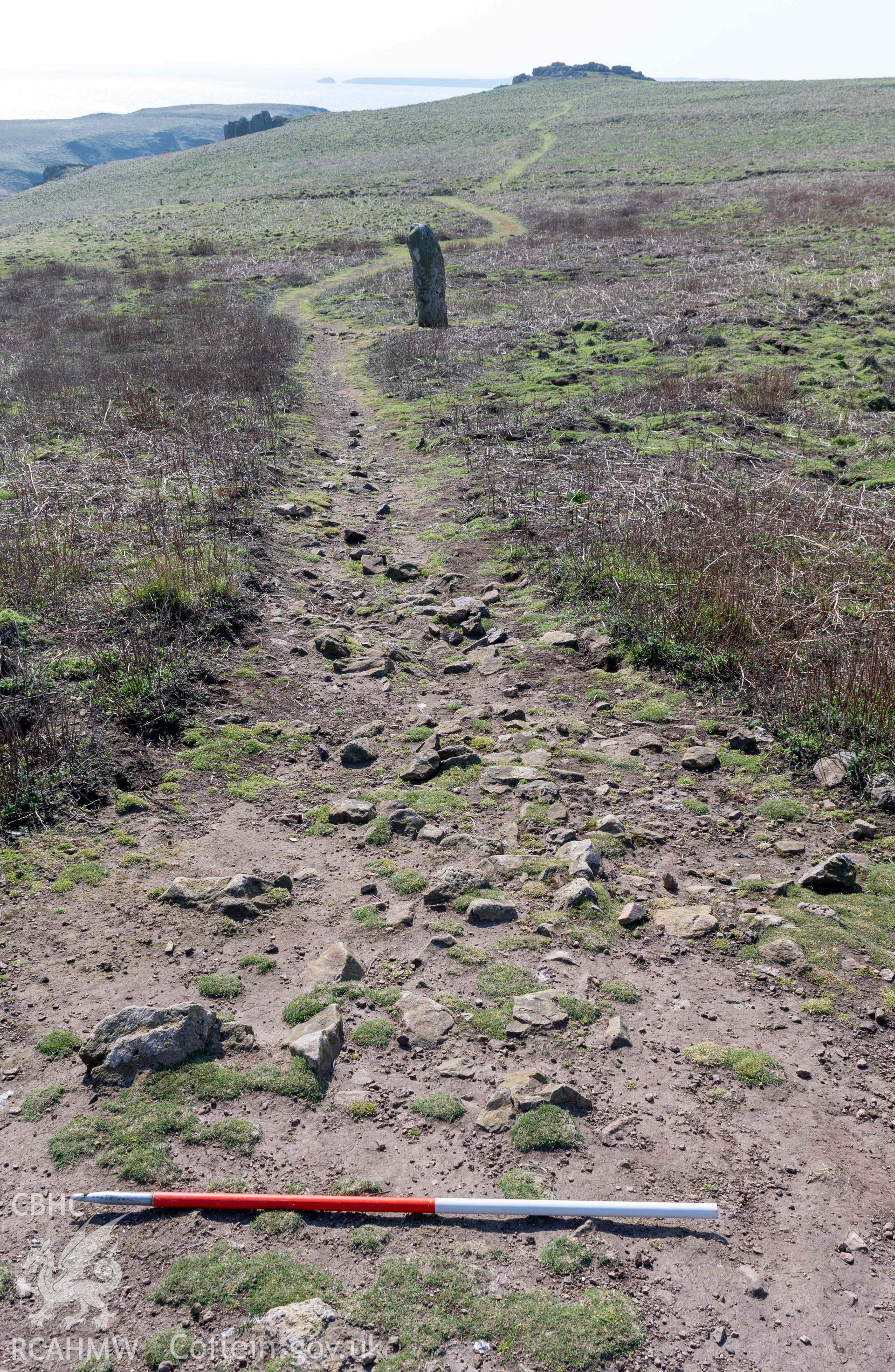 Harold Stone Standing Stone. View from  rock outcrop to north showing stone surface, the remains of prehistoric field boundary (with scale).