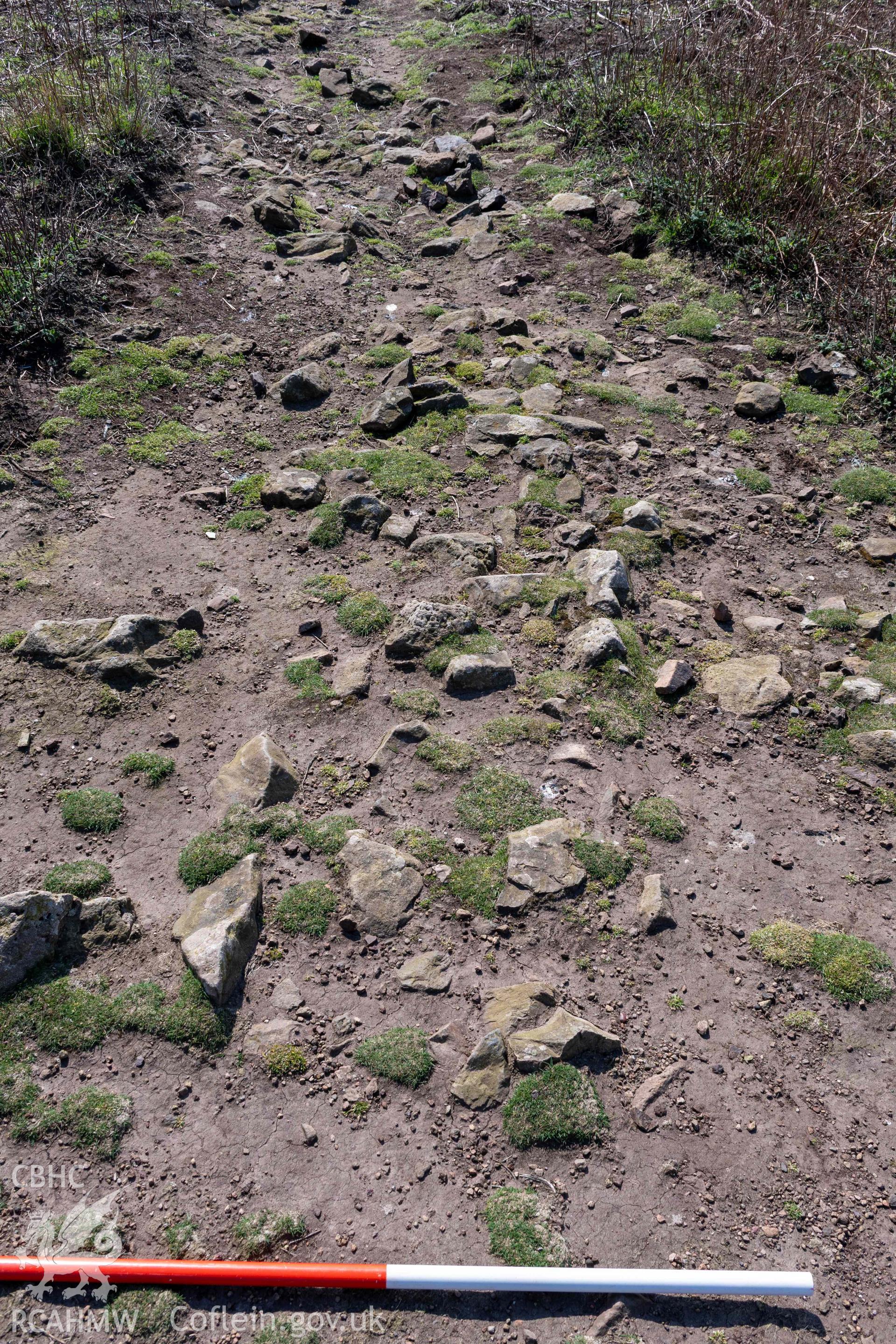 Harold Stone Standing Stone. Remains of prehistoric field boundary, comprising a stone surface and edge stones, to the north of Harold Stone (with scale).