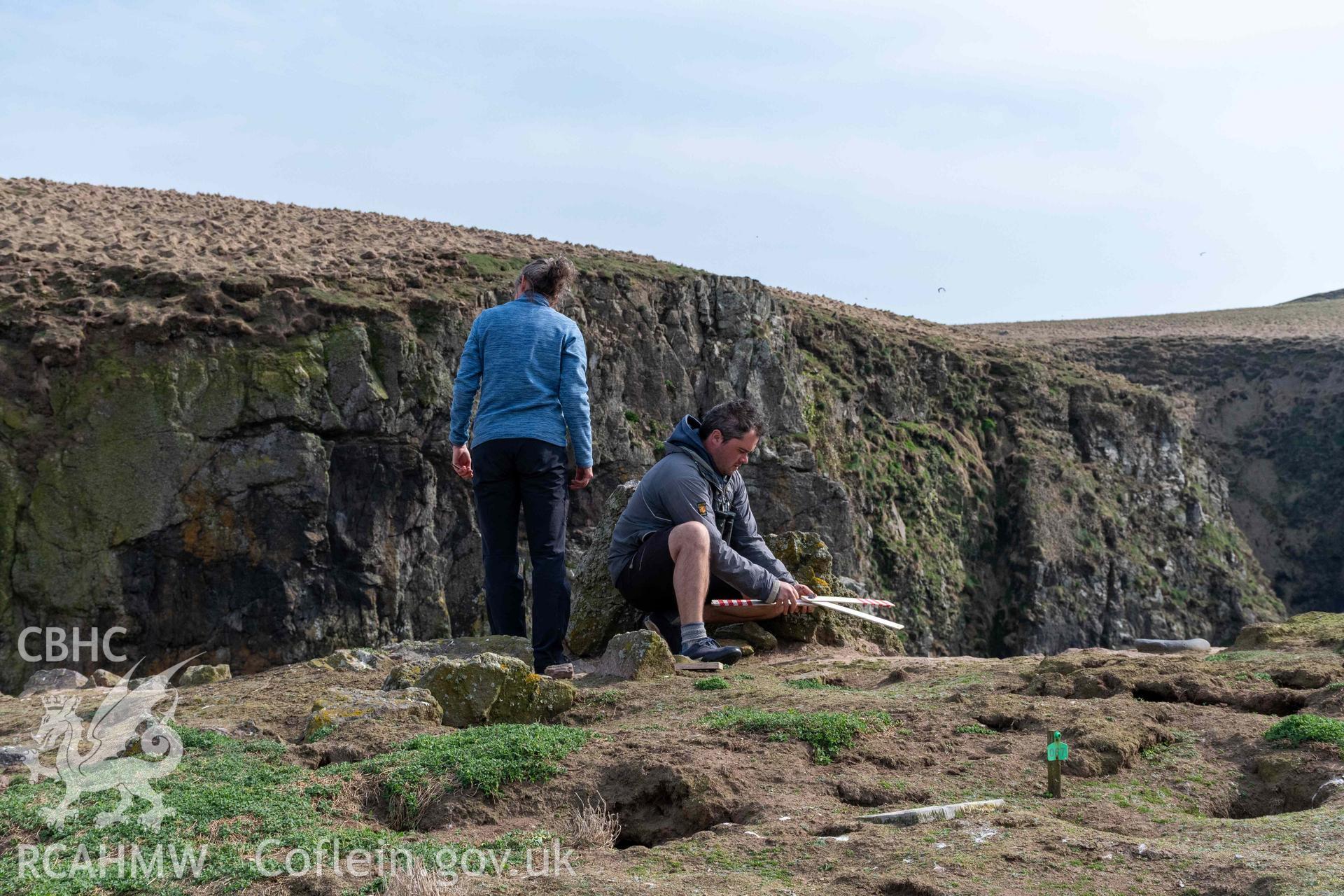 RCAHMW investigator and Skomer warden carefully placing survey control at the southwest corner of the building to avoid damage to puffin burrows.