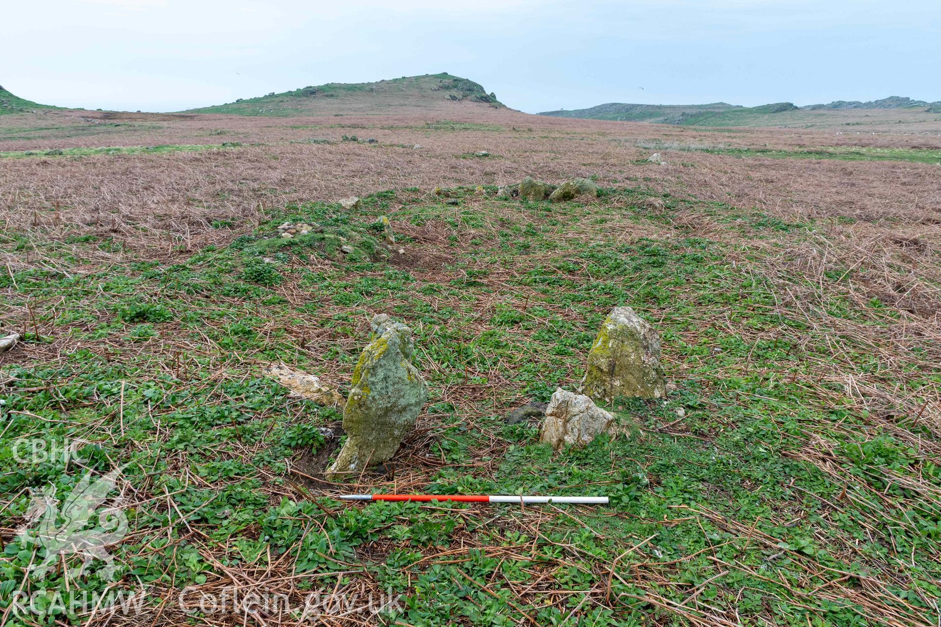 Skomer Island Hut Group 29. General view from the east. Scale is at the main doorway on the east side.