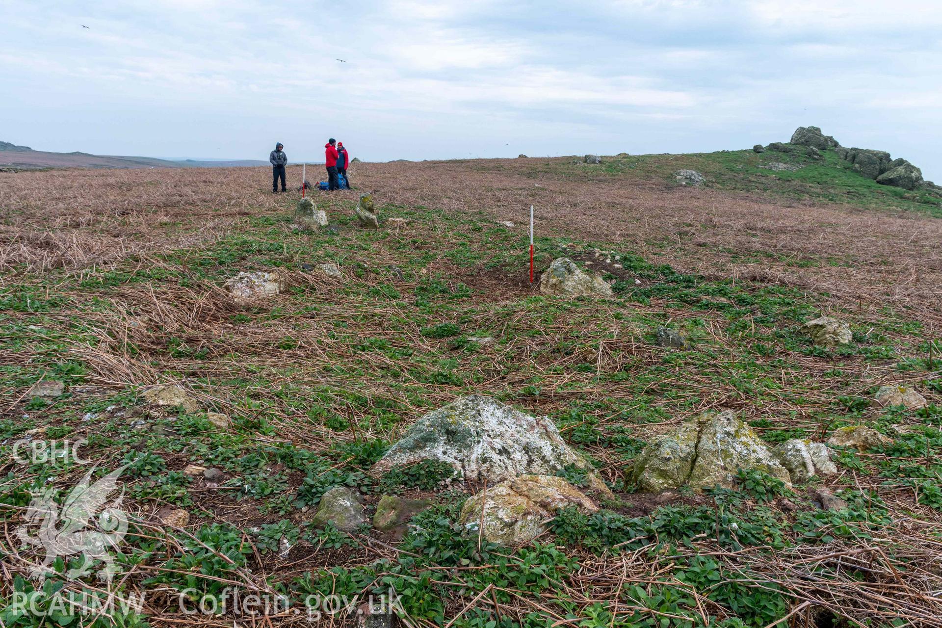 Skomer Island Hut Group 29. General view from the west. Scale is at the doorway linking the conjoined huts.