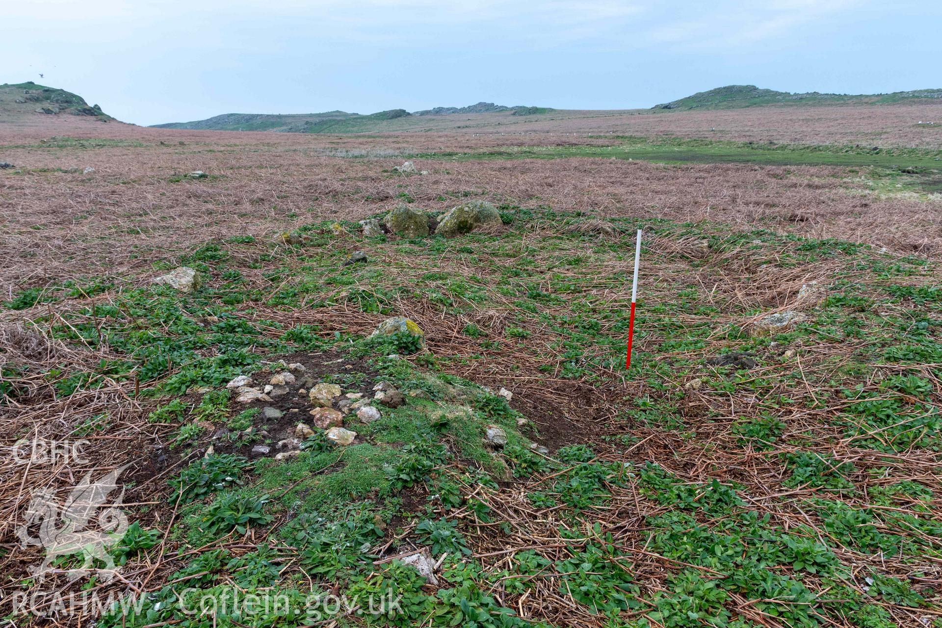 Skomer Island Hut Group 29. View from the southeast across the western house. Scale is at the doorway linking the conjoined huts with an adjacent mound of burnt stone.