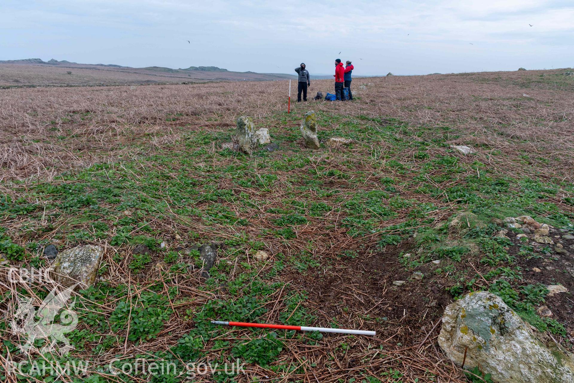Skomer Island Hut Group 29. View from west across the eastern house. Scale is at the doorway linking the conjoined huts.