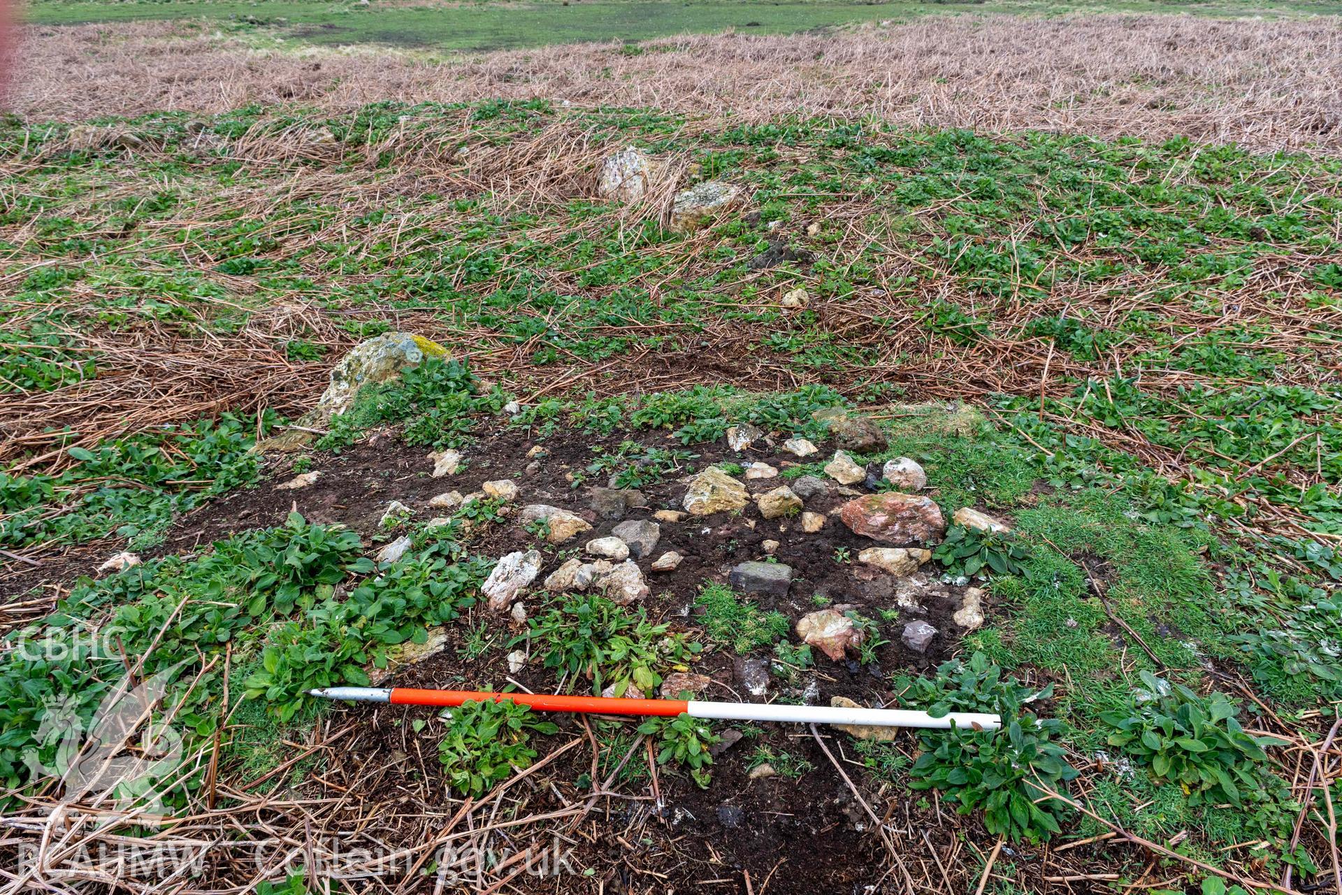 Skomer Island Hut Group 29. View from the south across the mound of burnt stone on the southern side of the doorway linking the conjoined huts (with scale).