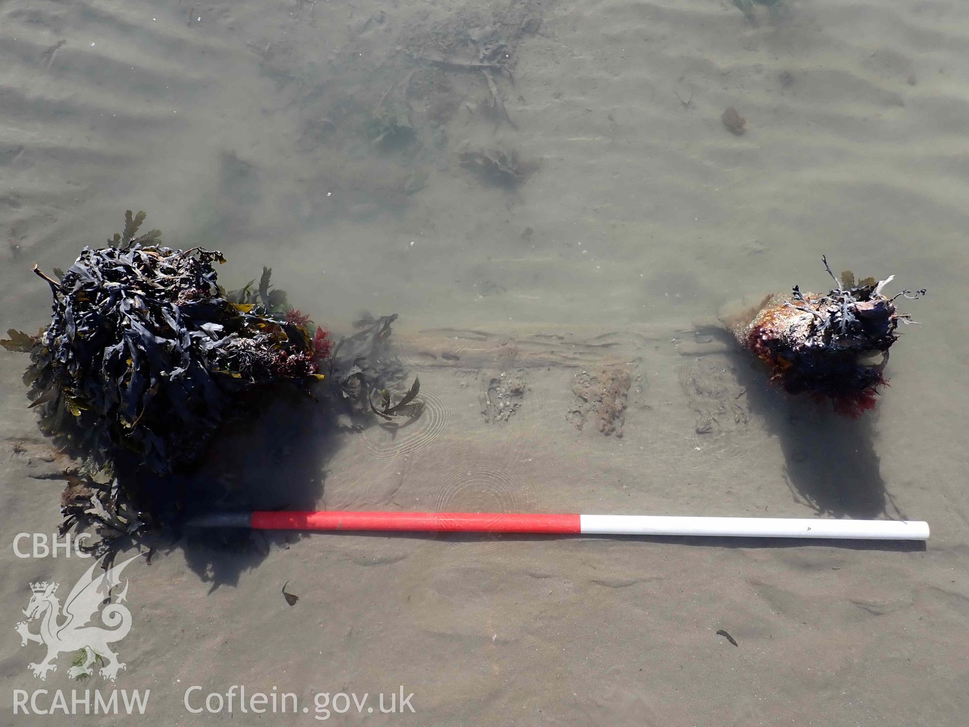 Exposed frames, ceiling planking and iron reinforcement straps, amidships, viewed from outboard, on the eastern part of Goodwick Wreck 02 on 30/03/2025. Scale is 1m.