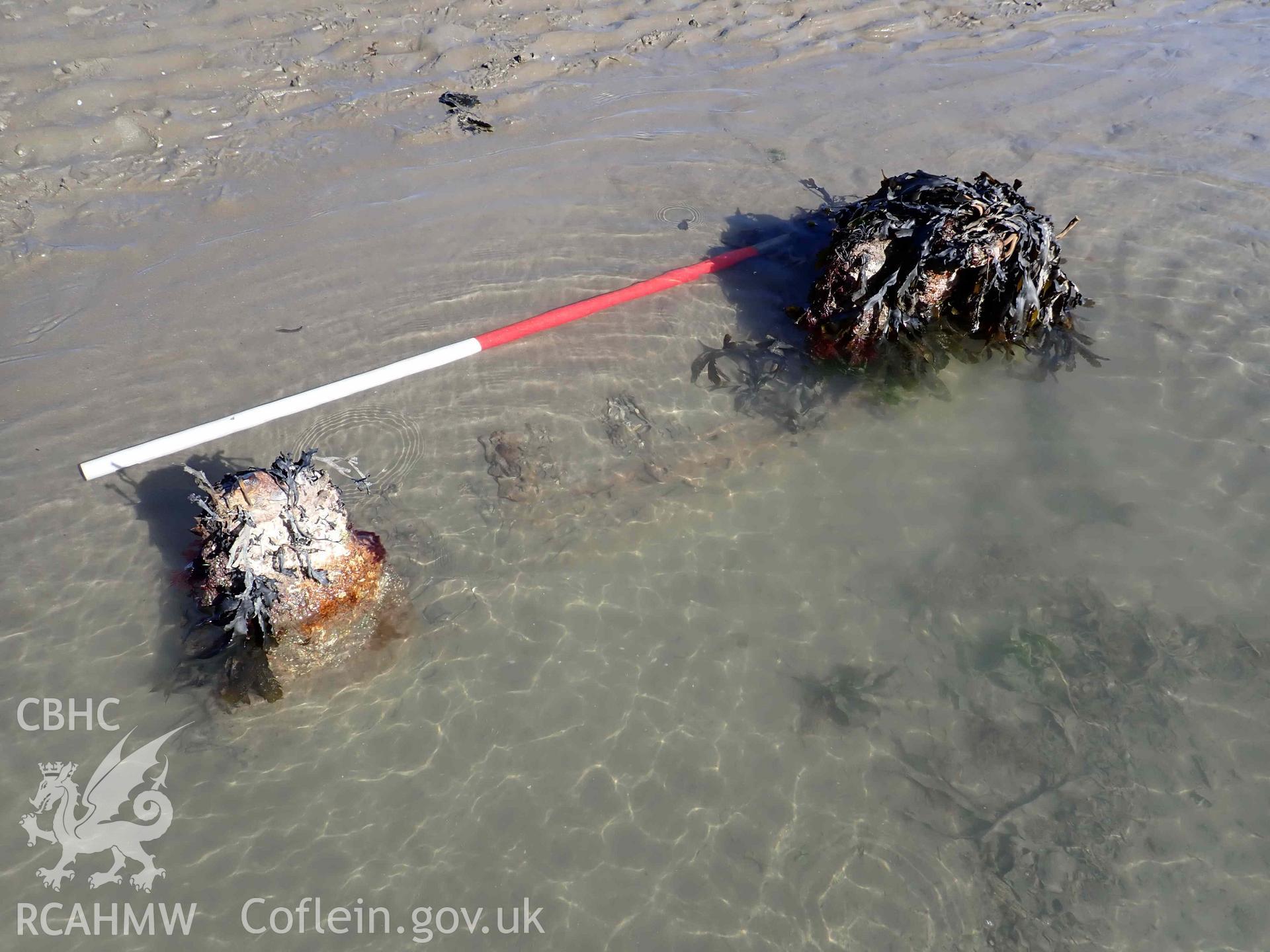 Exposed frames, ceiling planking and iron reinforcement straps, amidships, viewed from inboard, on the eastern part of Goodwick Wreck 02 on 30/03/2025. Scale is 1m.